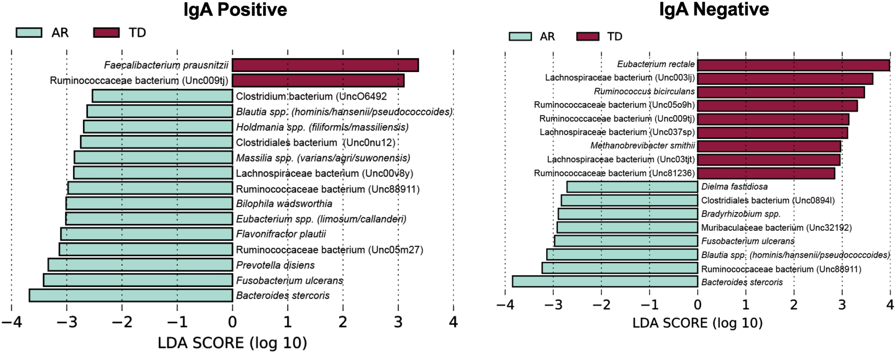 LEfSe identifies bacterial biomarkers associated with IgA-coated and uncoated genera across the Parkinson’s disease clinical subtypes. Analyses were conducted using parameters α<0.10 and linear discriminant analysis (LDA) threshold≥2.0.
