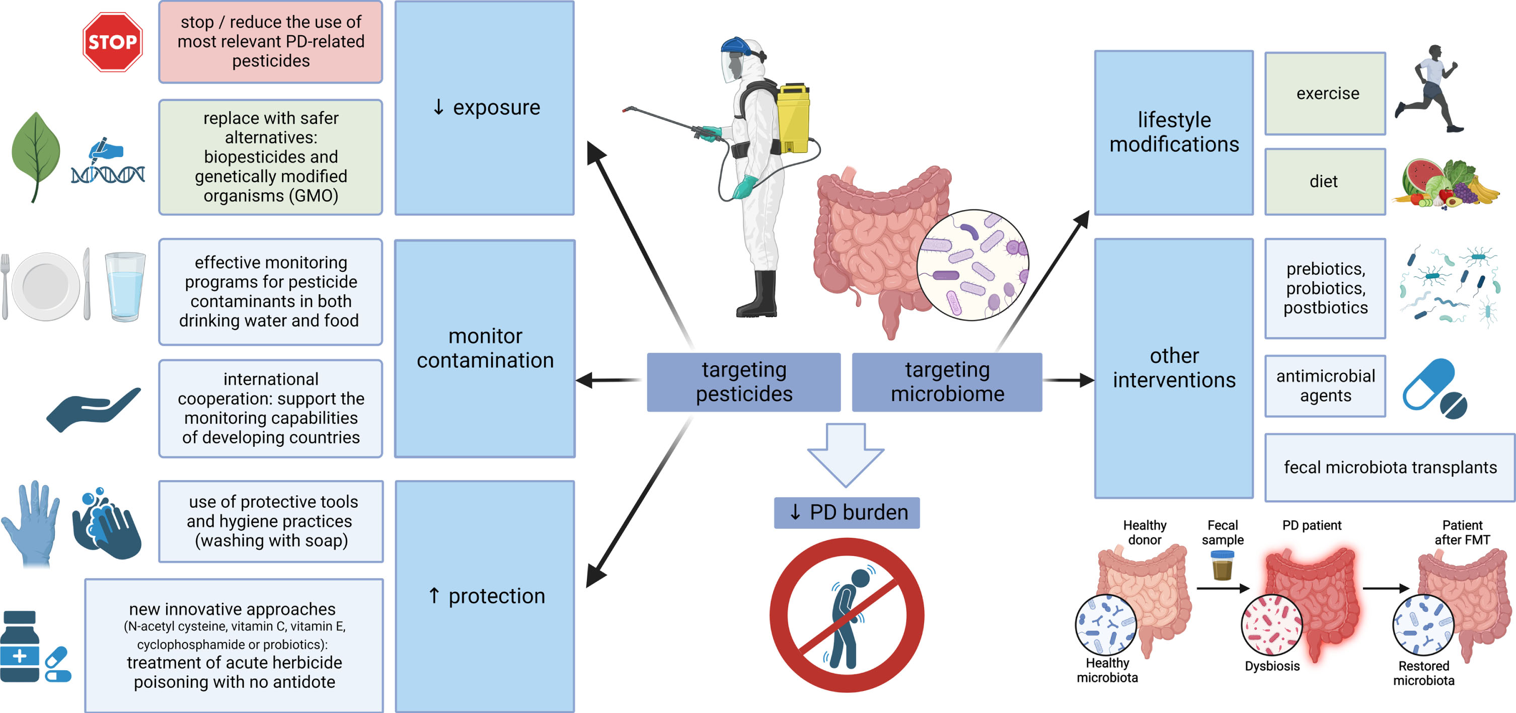 Targeting pesticides and the microbiome-gut-brain axis. Multiple measures are at hand to reduce the global burden of PD, aimed at both pesticides and microbiome. Where possible, the use of PD-relevant pesticides should be reduced and replaced by safer alternatives; effective monitoring should control food and water contamination, and protective measures, such as the use of personal protective equipment or new approaches for the treatment of poisoning, should be emphasized where pesticide exposure is inevitable. On the other hand, strategies aimed at strengthening the microbiome could be used on a large scale (general lifestyle modifications, such as exercise and a healthy diet), while more targeted interventions, including the use of pre/pro/postbiotics, antimicrobial agents or fecal microbiota transplants, could be relevant in specific conditions associated with pesticide exposure. PD, Parkinson’s disease; GMO, genetically modified organisms.