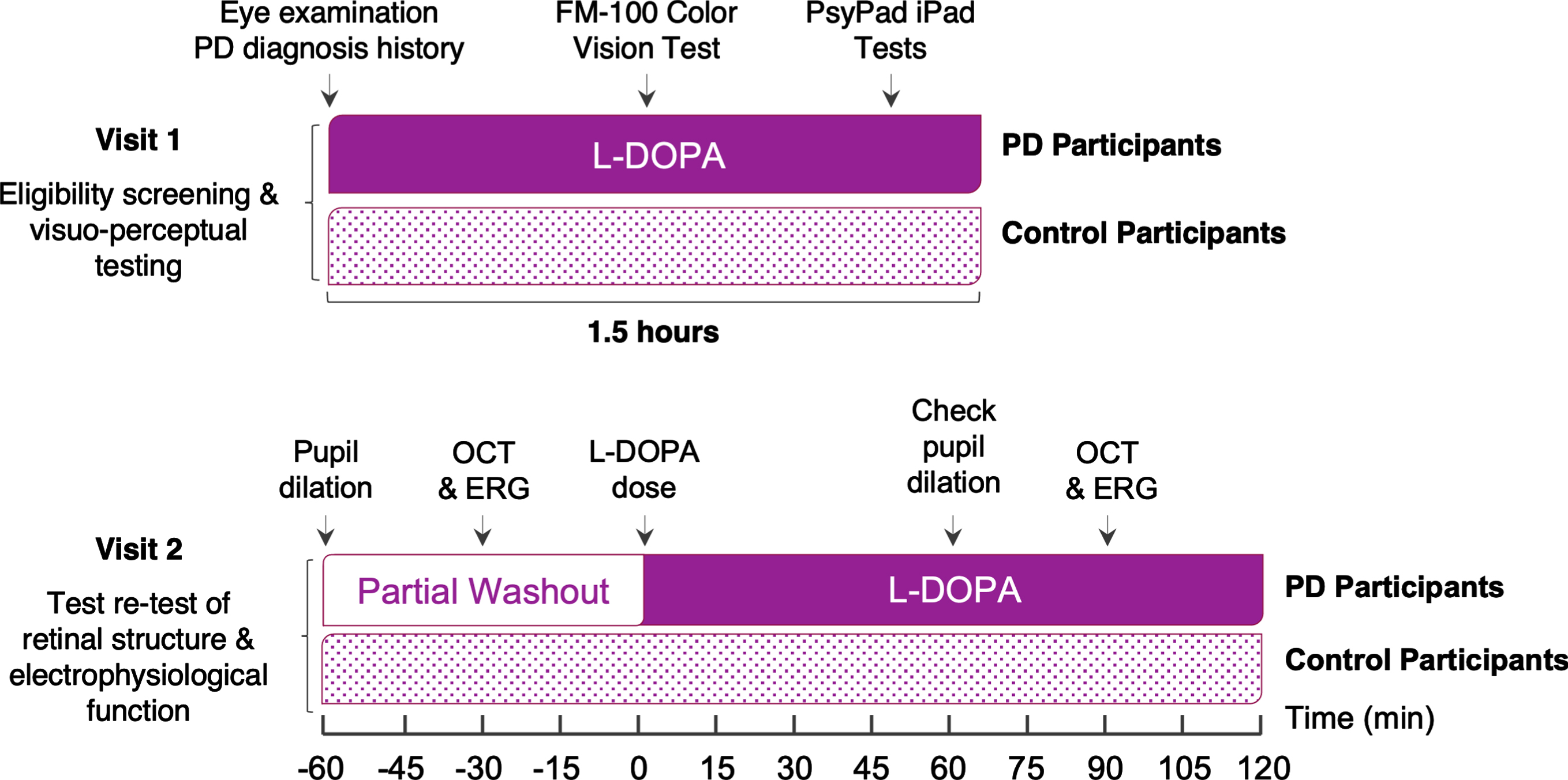Study Experimental Design. PD, Parkinson’s disease; OCT, optical coherence tomography; ERG, electroretinography; L-DOPA, levodopa. The timeline of each visit depicts L-DOPA status of Parkinson’s disease participants during visual assessments.