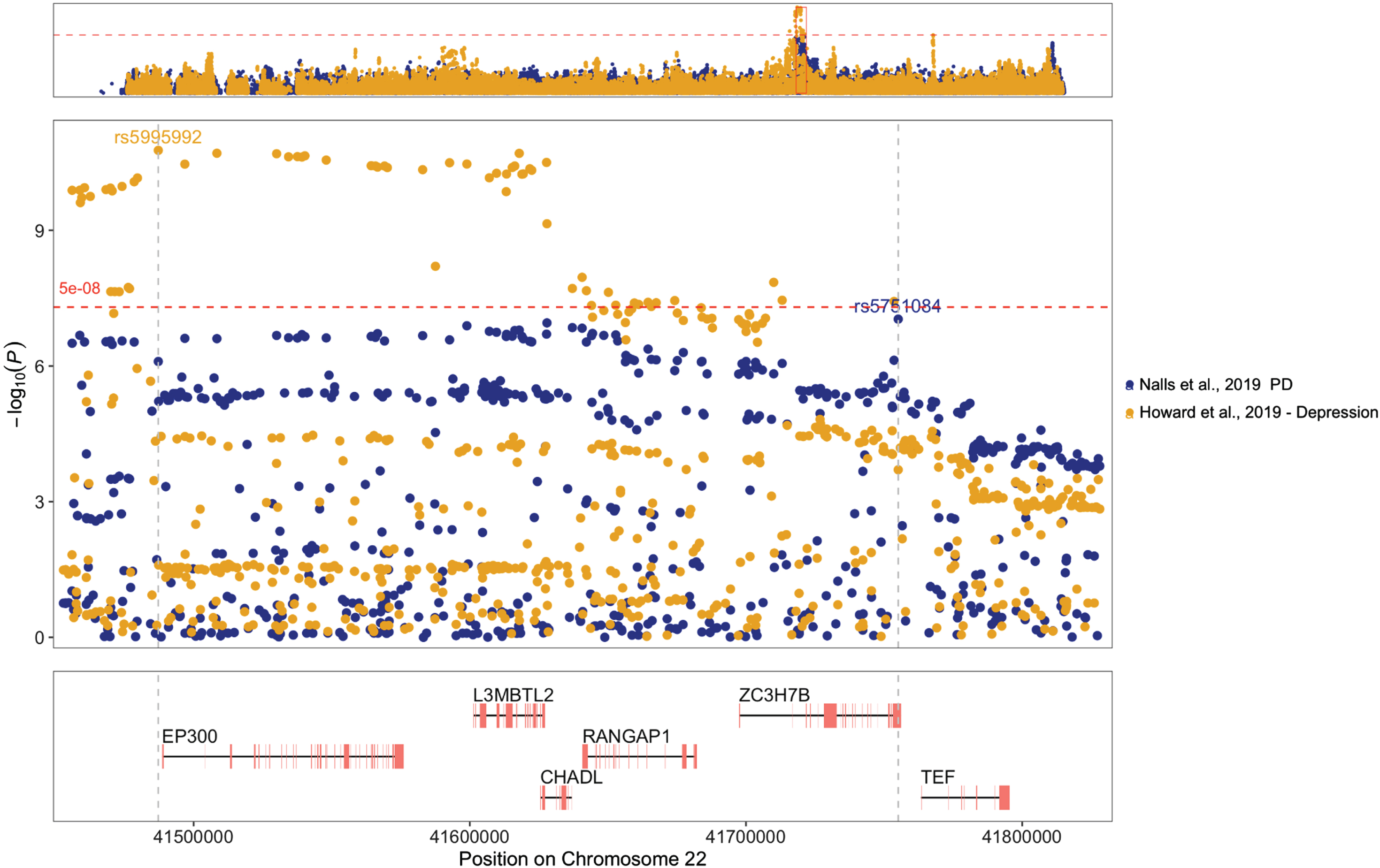Regional plot for the chr22 : 41452876-41829000 region in GWAS summary statistics showing SNPs associated with Parkinson’s disease (PD) in blue and depression in yellow. Top variants within the region for each dataset are annotated by their rs number, and vertical gray dotted lines highlight their positions within the genes shown in the lower panel, which only includes protein-coding genes. The horizontal red dashed line represents the common genome-wide significance threshold.