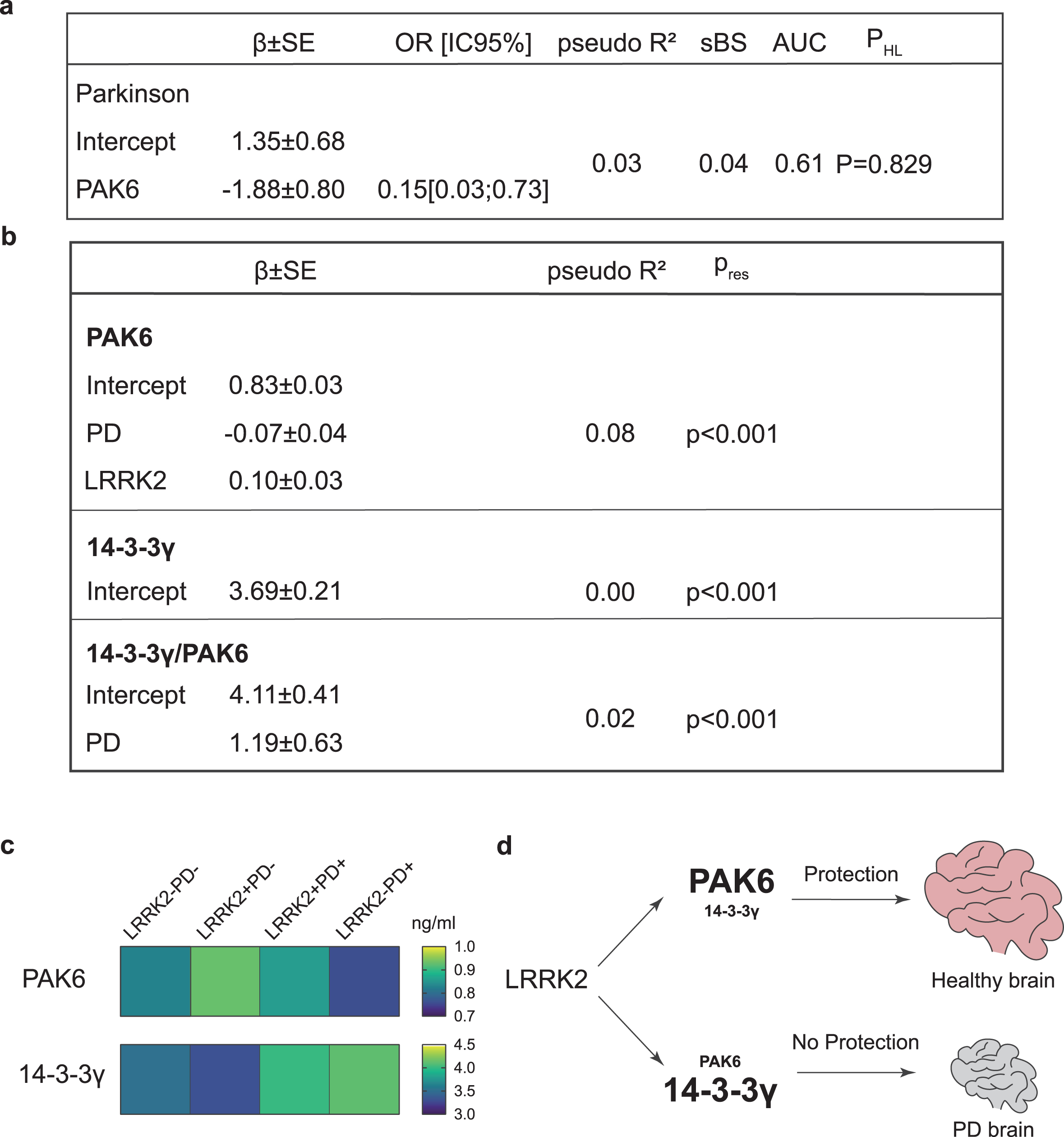 Generalized linear models for the presence of PD, PAK6, 14-3-3γ and 14-3-3γ/PAK6. Generalized linear models, showing the relationship between the PAK6 amount and the probability of having Parkinson’s disease (a) and the relationship between PAK6, 14-3-3γ and 14-3-3γ/PAK6 and different parameters as described in the text (b). Outcomes are displayed as estimate of regression coefficient with Standard Error (β±SE); McFadden’s index of explained variance (pseudo-R2); Scaled Brier Score (sBS); Area Under the Curve (AUC); p-value of the Hosmer-Lemeshow test (PHL) or p-value of the Shapiro Wilk test of model residuals (Pres). Significance was established at P < #x003C;< #x200A;0.05*. (c) Gradient color representation of PAK6 and 14-3-3γ amount in plasma samples. (d) Schematic underlying the protective role of PAK6.