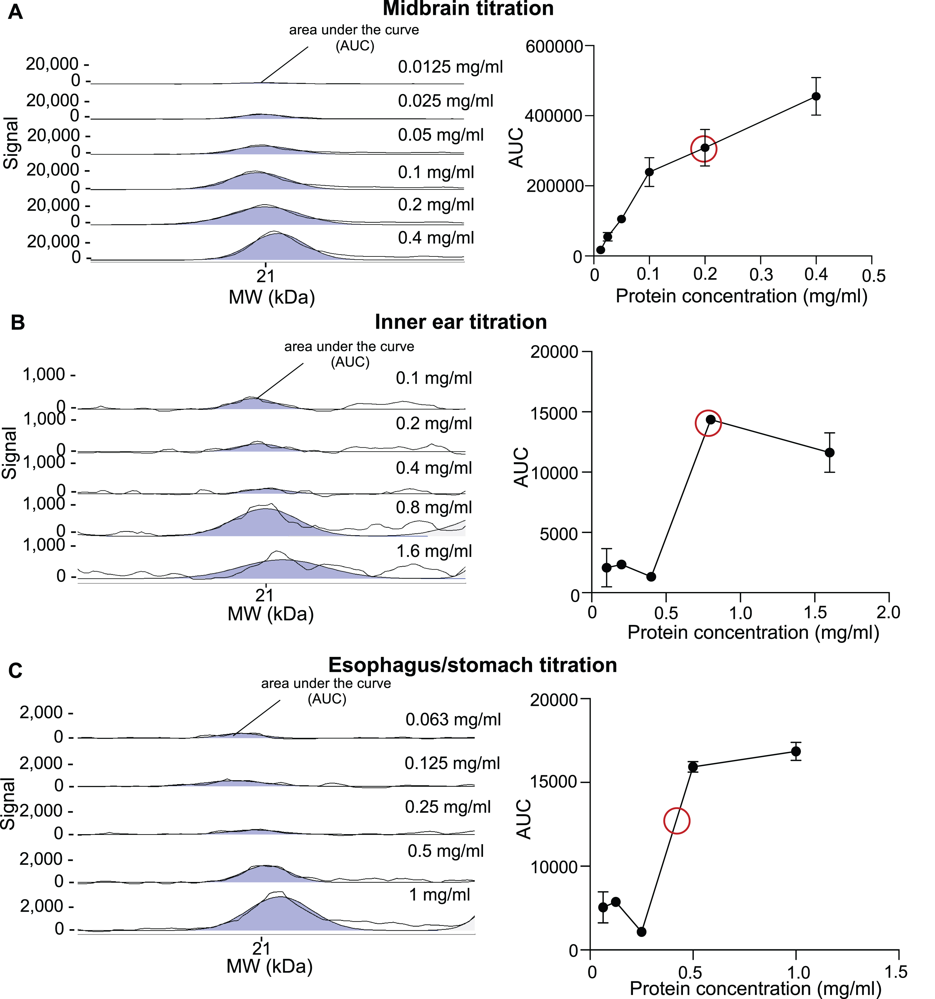 Optimization of lysate protein concentrations for midbrain, inner ear, and esophagus/stomach tissues for CE using anti-total aSyn antibody. Tissue lysate dilutions with different protein concentrations, ranging from 0.0125 mg/ml to 1.6 mg/ml, were subjected to CE Simple Western immunoassay using anti-total aSyn primary antibody at a dilution of 1 : 40. The selected electropherograms are shown on the left-hand side. The black lines represent both the selected electropherogram curve and a curve representing the adaptation to the fitted peaks. On the right, the quantified areas under the curve (AUC) were plotted against the corresponding protein concentrations. The useful linear assay range was estimated from the curve. The concentration chosen within the linear range for aSyn detection (red circle) remains tissue-specific and corresponds to 0.2 mg/ml for midbrain tissue lysate (A), 0.8 mg/ml for inner ear tissue lysate (B), and 0.4 mg/ml for esophagus/stomach tissue lysate (C).