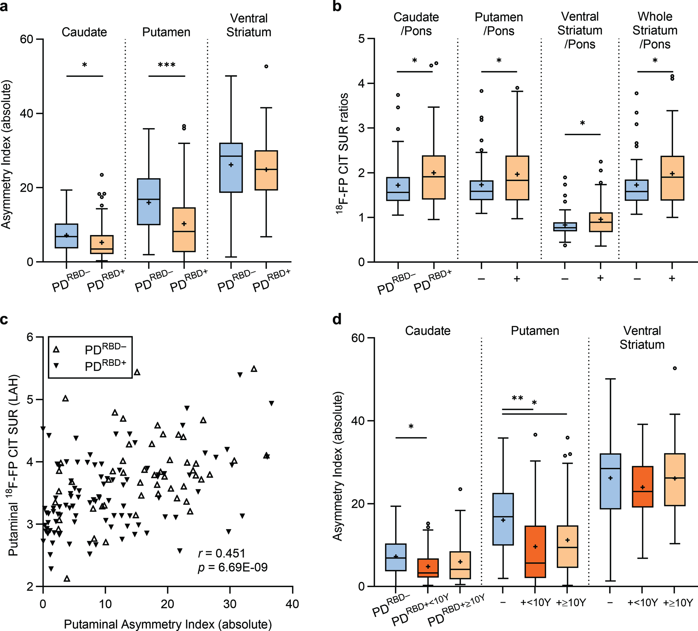 Striatal asymmetry and striatum-to-pons ratios of monoaminergic degeneration in drug-naïve Parkinson’s disease stratified by premotor RBD. The PDRBD + group displays (a) a more symmetric nigrostriatal degeneration and (b) higher striatum-to-pons ratios of FP-CIT binding, indicating a marked pontine monoaminergic degeneration compared to the PDRBD– group. (c) Putaminal asymmetry is primarily driven by the severity of least-affected hemisphere (LAH) degeneration. (d) The symmetric degeneration pattern of the striatum is more pronounced in the subgroup of PDRBD + with less than 10 years of premotor RBD history.