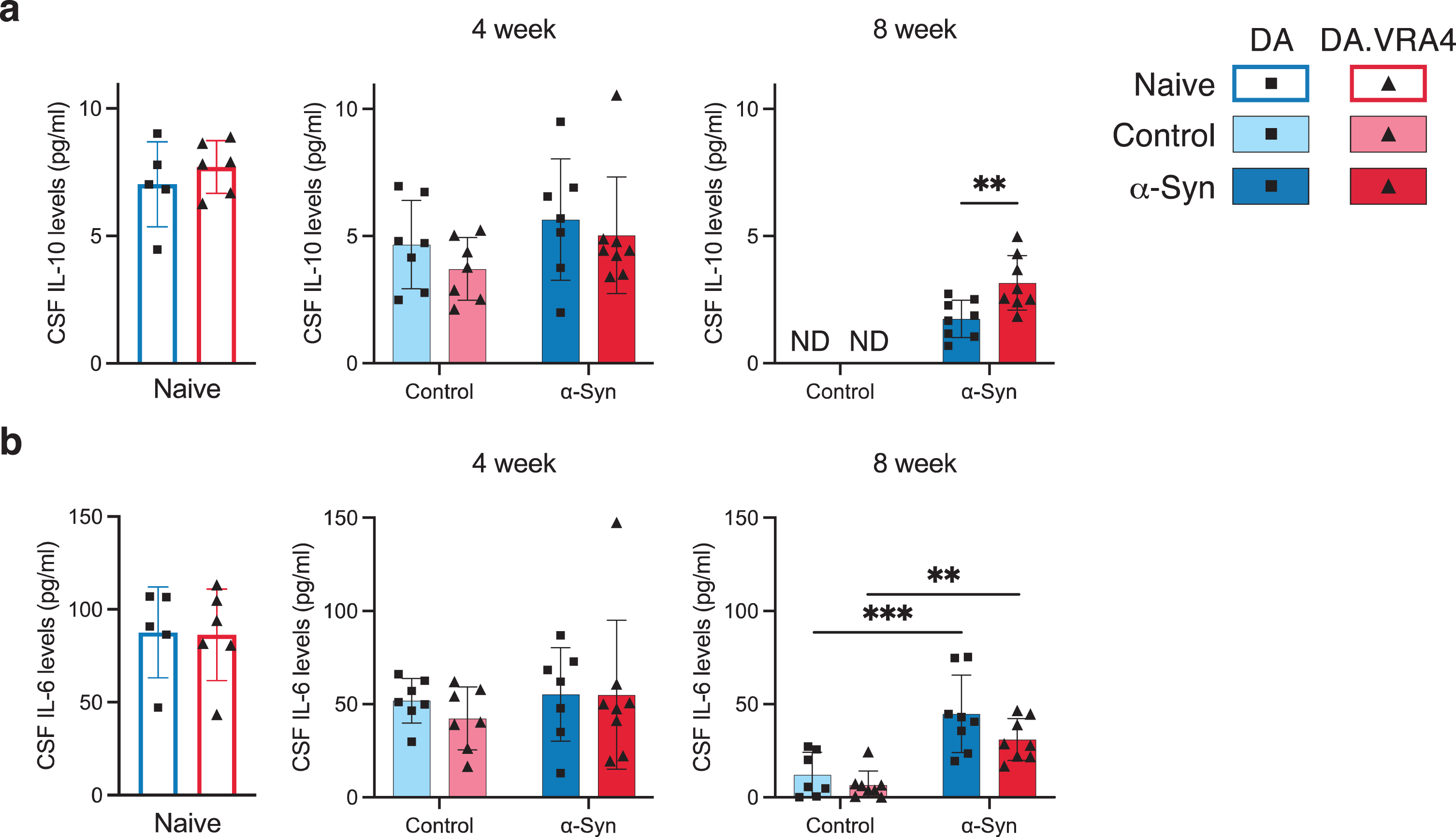 CSF IL-10 and IL-6 cytokine levels are regulated by differing Ciita levels and in response to rAAV-α-Syn+PFF, respectively. a. Quantification of IL-10 levels in cerebrospinal fluid (CSF) measured by ELISA. Non-detected levels indicated by “ND”. b. Quantification of IL-6 levels in CSF measured by ELISA. a–b. Naïve (DA n = 5, DA.VRA4 n = 6), 4-week; control (DA n = 7, DA.VRA4 n = 7) and α-Syn (DA n = 7, DA.VRA4 n = 8), 8-week; control (DA n = 7, DA.VRA4 n = 8) and α-Syn (DA n = 8, DA.VRA4 n = 8). α-Syn = rAAV-α-Syn+PFF. Control = rAAV-(–)+DPBS. Naïve rats were compared by unpaired Student’s t-test. Groups at 4- and 8-weeks were compared with two-way ANOVA with 
Sˇ
ídák multiple comparison test (DA vs. DA.VRA4 and control vs. α-Syn). **p < 0.01 and ***p < 0.001. Data presented as mean±SD with individual values.