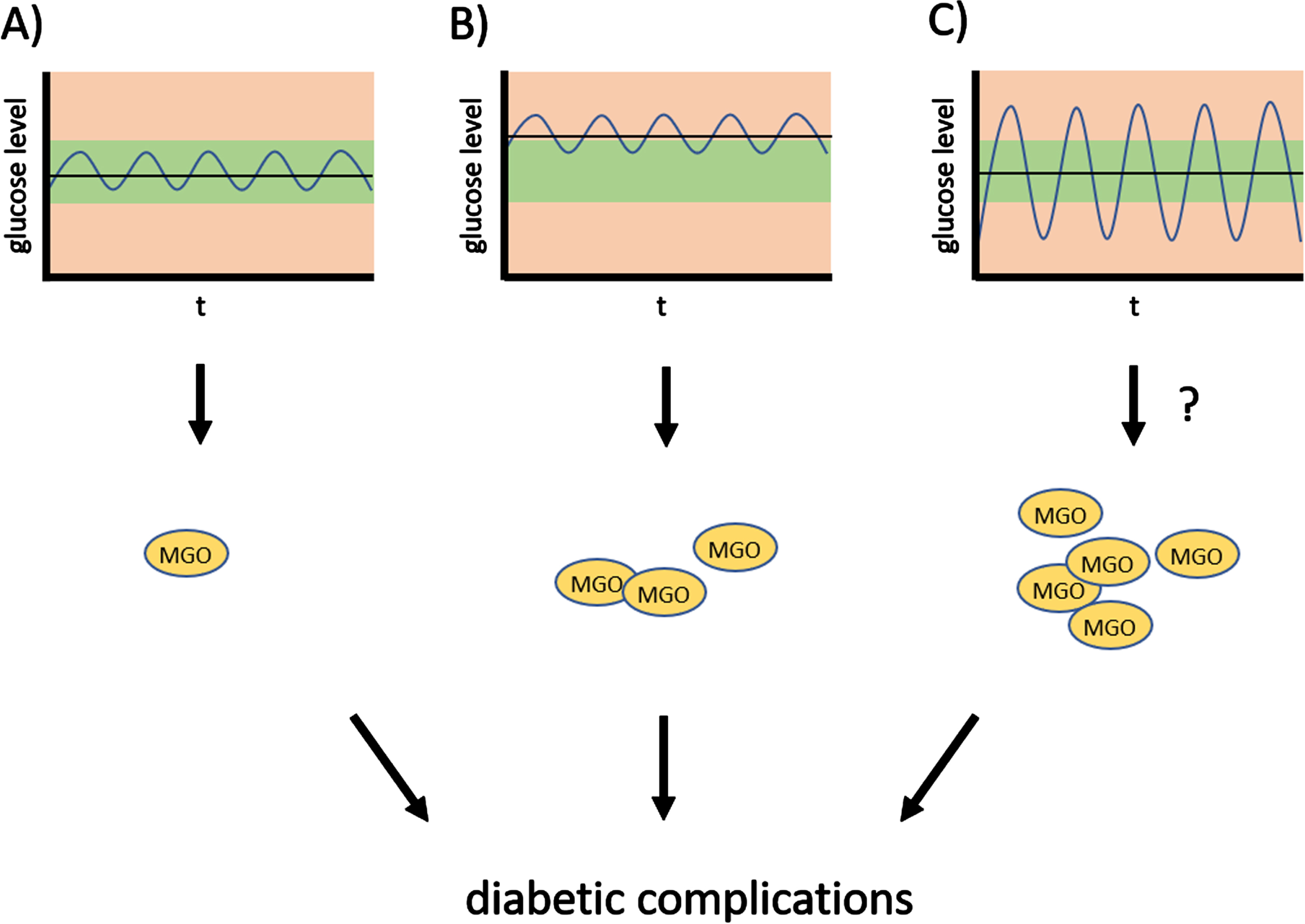 Oscillations of glucose levels and diabetic complications. Strong oscillations of glucose levels—glycemic variability—throughout the day contribute to diabetic complications, and possibly increase susceptibility to PD.