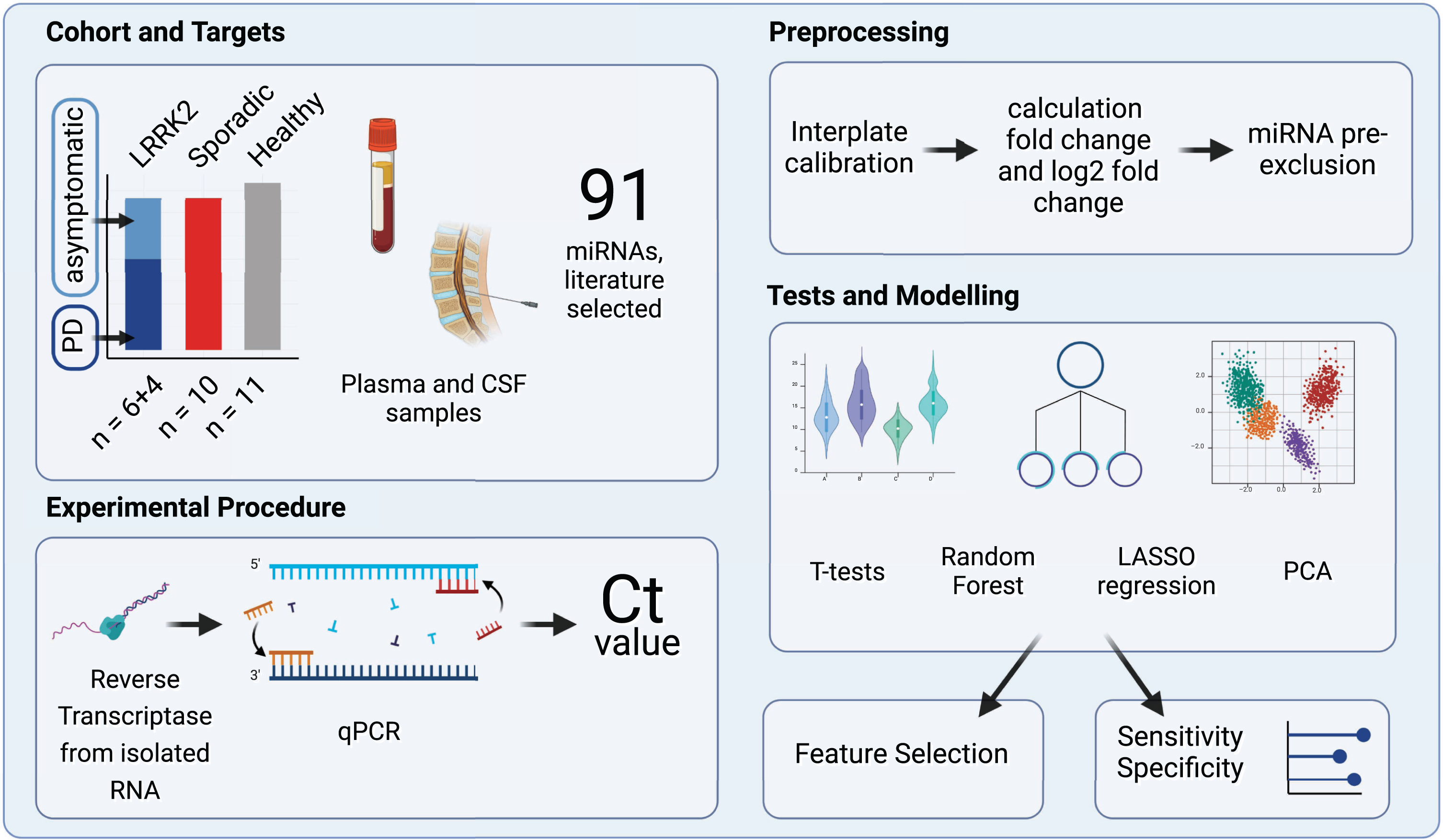 Study Design Overview. The experimental cohort compromised 31 patients categorized into three groups: individuals carrying a LRRK2 mutation, sporadic PD patients and healthy controls. A total of 91 miRNAs, selected by reviewing relevant literature, were quantified in CSF and plasma samples using reverse transcription and qPCR. Subsequently, the obtained raw Ct values were calibrated and fc and log2fc values were calculated. miRNAs that were expressed only in subgroups were excluded. Group differences were then analyzed using t-tests, PCA, Random Forest and LASSO regression. Created with BioRender.com.