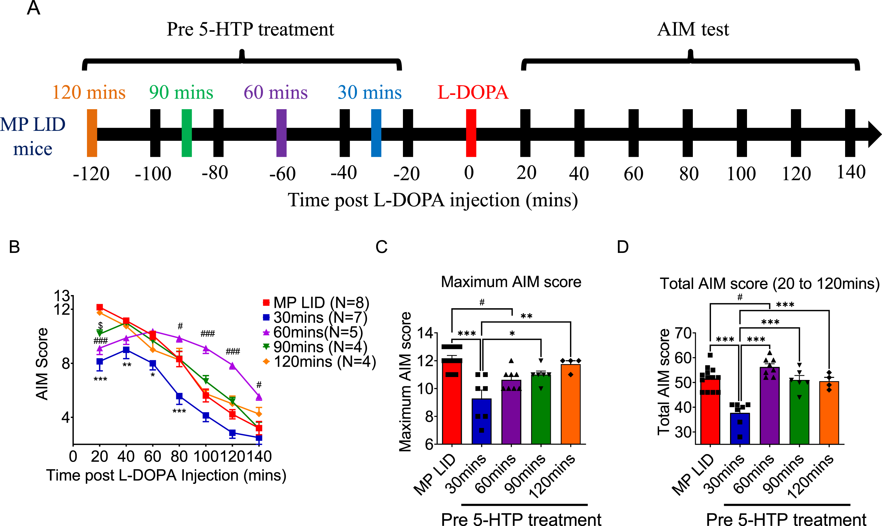 Administering 5-HTP (50 mg/kg) 30 min before L-DOPA (10 mg/kg) treatment was an effective method for mitigating the abnormal AIM scores induced by L-DOPA in L-DOPA-primed MP mice (MP LID mice). A) The influence of pre-treatment with 5-HTP at time intervals of 30, 60, 90, and 120 min before the administration of L-DOPA on the L-DOPA-induced dyskinesia in MP LID mice. B) MP LID mice were pre-administered 5-HTP, followed by the administration of L-DOPA at different time intervals. Following L-DOPA administration, AIM scores were assessed at 20-min intervals, with a total of seven evaluations. Two-way ANOVA followed by a Bonferroni post hoc test for multiple comparisons. At 30 min compared to baseline, *p < 0.05, ***p < 0.001; at 60 min compared to baseline, ##p < 0.01, ###p < 0.001. Observation of the seven scores separately across the time span of 20 to 140 min post-L-DOPA administration, (C) the maximum AIM score from the seven scores (maximum AIM score), and (D) the sum of the seven scores (total AIM score). The maximum AIM score and the total AIM score were both lower when L-DOPA was administered 30 min after pre-treatment with 5-HTP (represented by the blue bar/rectangular symbol; 30 min), as compared to the other pre-treatment 5-HTP groups and the group without 5-HTP pre-treatment (represented by the red bar/rectangular symbol; Baseline). In particular, the administration of L-DOPA 60 min after pre-treatment with 5-HTP (represented by the purple bar/triangle symbol; 60 min) resulted in an elevation in the total AIM score compared to the group without 5-HTP pre-treatment (Baseline vs. 60 min, p < 0.01). One-way ANOVA followed by a Bonferroni post hoc test for multiple comparisons. At 30 min compared to the other group, *p < 0.05, **p < 0.01, ***p < 0.001; at 60 min compared to Baseline, ##p < 0.01.