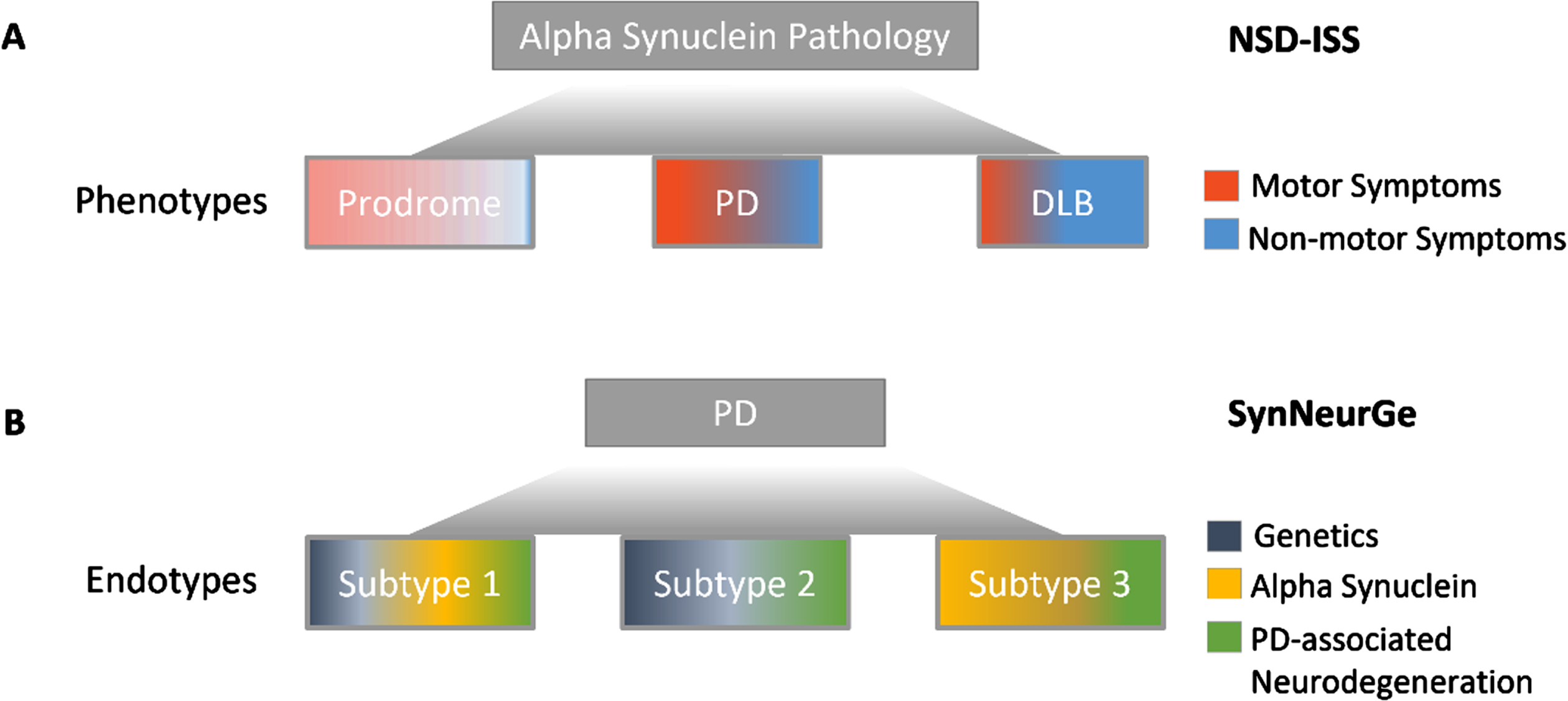 Divergent conceptual approaches to biologically defining disease. A) The NSD-ISS anchors to alpha-synuclein pathology. NSD-ISS offers a framework for therapeutic development across clinical syndromes associated with detectable neuronal alpha-synuclein biomarkers but does not apply to all individuals with clinically diagnosed PD or DLB. B) The SynNeurGe criteria anchors to PD clinical diagnostic criteria and offers classification of all currently known endotypes.