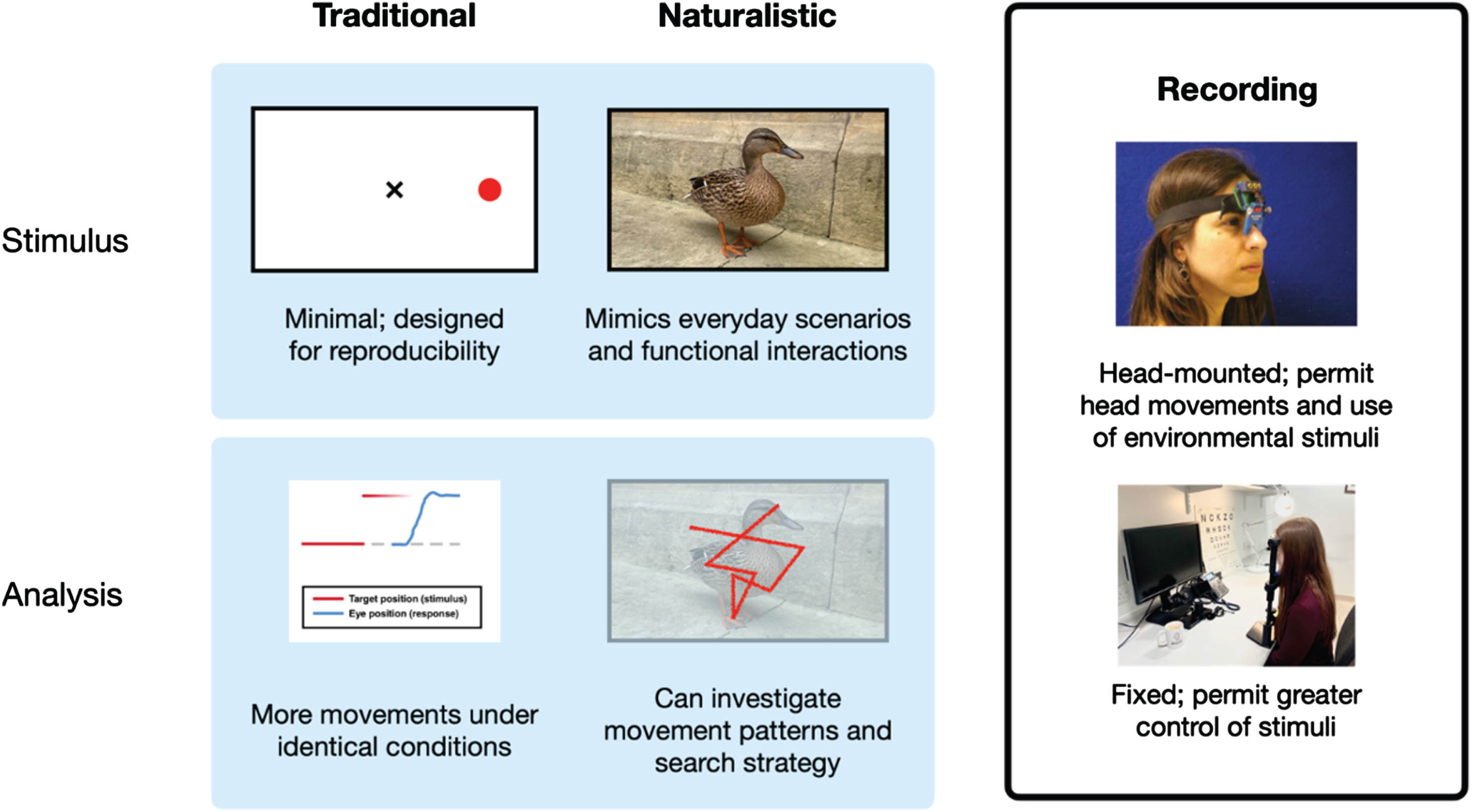 Figure to show example stimuli and analysis for both standard laboratory and naturalistic eye movement tasks. Currently available recording equipment can be easily utilized for both types of eye movement tasks.