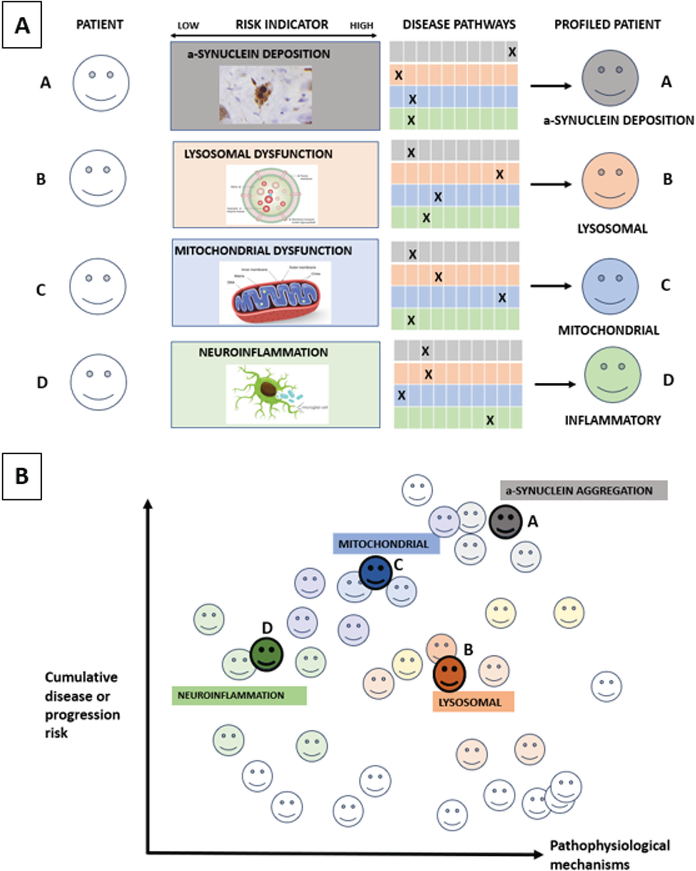 Molecular subtyping in PD. Figure 1A: The ‘palette’ model of the multifactorial etiology of a complex disease such as PD. The different colors under ‘Disease pathways’ represent four key hypothetical disease pathways or pathophysiological mechanisms relevant to PD. Each of the four individuals (A–D) has different contributions by the colors representing the various pathways contributing to their disease at a specific time point. The contribution of each pathway at the specific timepoint is represented by an ‘X’, so that individuals with the same clinically defined disease can have very different underlying pathophysiological mechanisms, as illustrated by the difference in colors in Fig. 1B. Moving from prodromal to manifest PD, different pathways and contributions from each pathway will occur over time. Source: the figure is adapted from Johansson.58