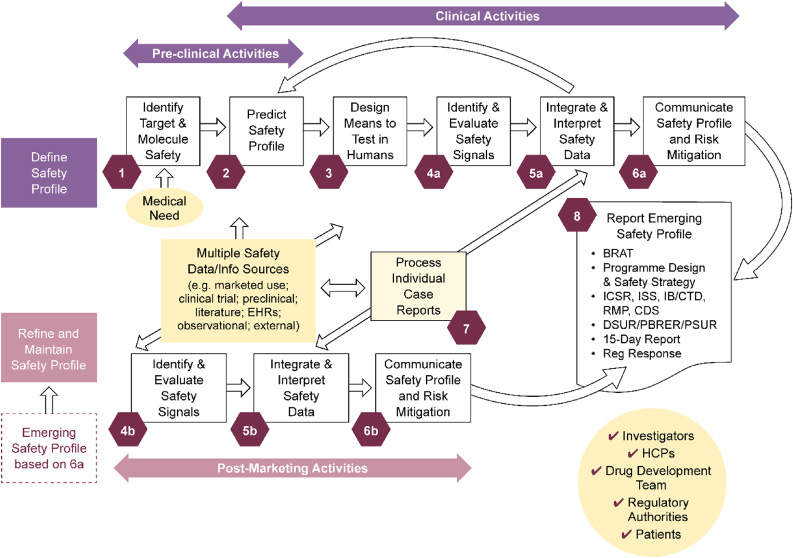 PS high-level value stream map covering drug development, life-cycle management, and maintenance: Eight discrete value-adding steps. Duplicate activities indicated by ‘a’ in the clinical development space and ‘b’ for post-marketing, in which data sources differ. To describe key activities per step, the steps were split. However, the majority of marketed products have ongoing clinical development/life-cycle management activities, so ‘a’ and ‘b’ activities will be ongoing in parallel. BRAT: benefit-risk action team; CDS: core data sheet; CTD: common technical document; DSUR: development safety update report; Dvt: development; EHR: electronic health record; HCP: healthcare professional; IB: investigator’s brochure; ICSR: individual case safety report; ISS: industrial safety services; PBRER: periodic benefit-risk evaluation reports; PS: patient safety; PSUR: periodic safety update reports; Reg: regulatory; RMP: risk management plan.