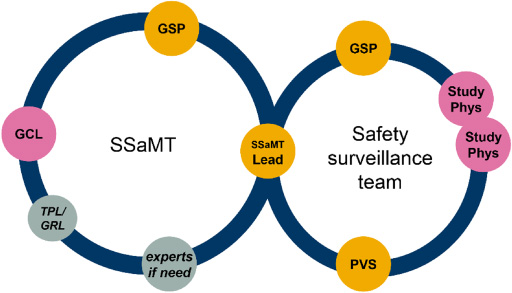 Clinical drug safety/PV project/product work delivered via two teams: Lean team structure with agenda-driven memberships, same for all phases/science units. Experts indicate agenda-driven membership from across functions as needed, e.g. epidemiology/real-world evidence, biostatistics, clinical pharmacology, clinical operations, and quality assurance. GCL: global clinical lead; GRL: global regulatory lead (key member for late-phasing project); GSP: global safety physician; PS: Patient Safety; PVS: pharmacovigilance scientist; Study Phys: clinical study physician/medical monitor; SSaMT: safety strategy and management team; TPL: toxicology project lead (key member for early phasing projects).