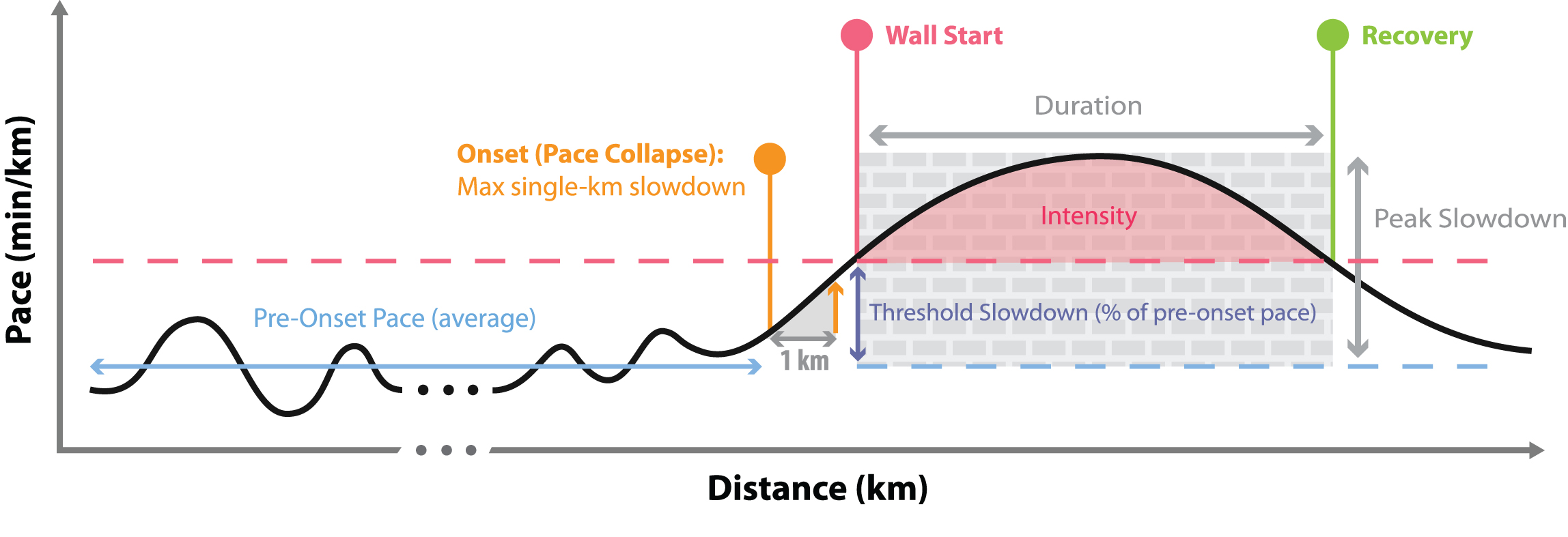 Our model of the wall is based on a number of basic features: the onset, the pace collapse, the peak, and the duration.