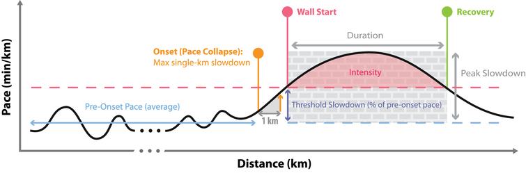 Our model of the wall is based on a number of basic features: the onset, the pace collapse, the peak, and the duration.
