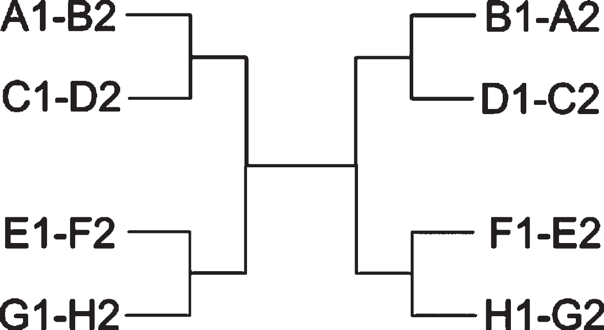 Bracket of the knockout stage of the 2018 FIFA World Cup.