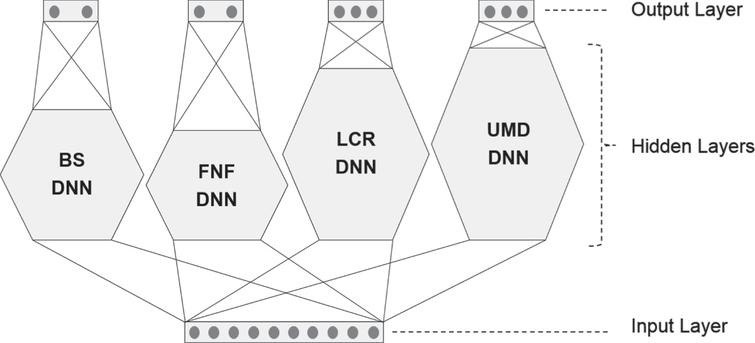 Structure of E1-DNN Model.