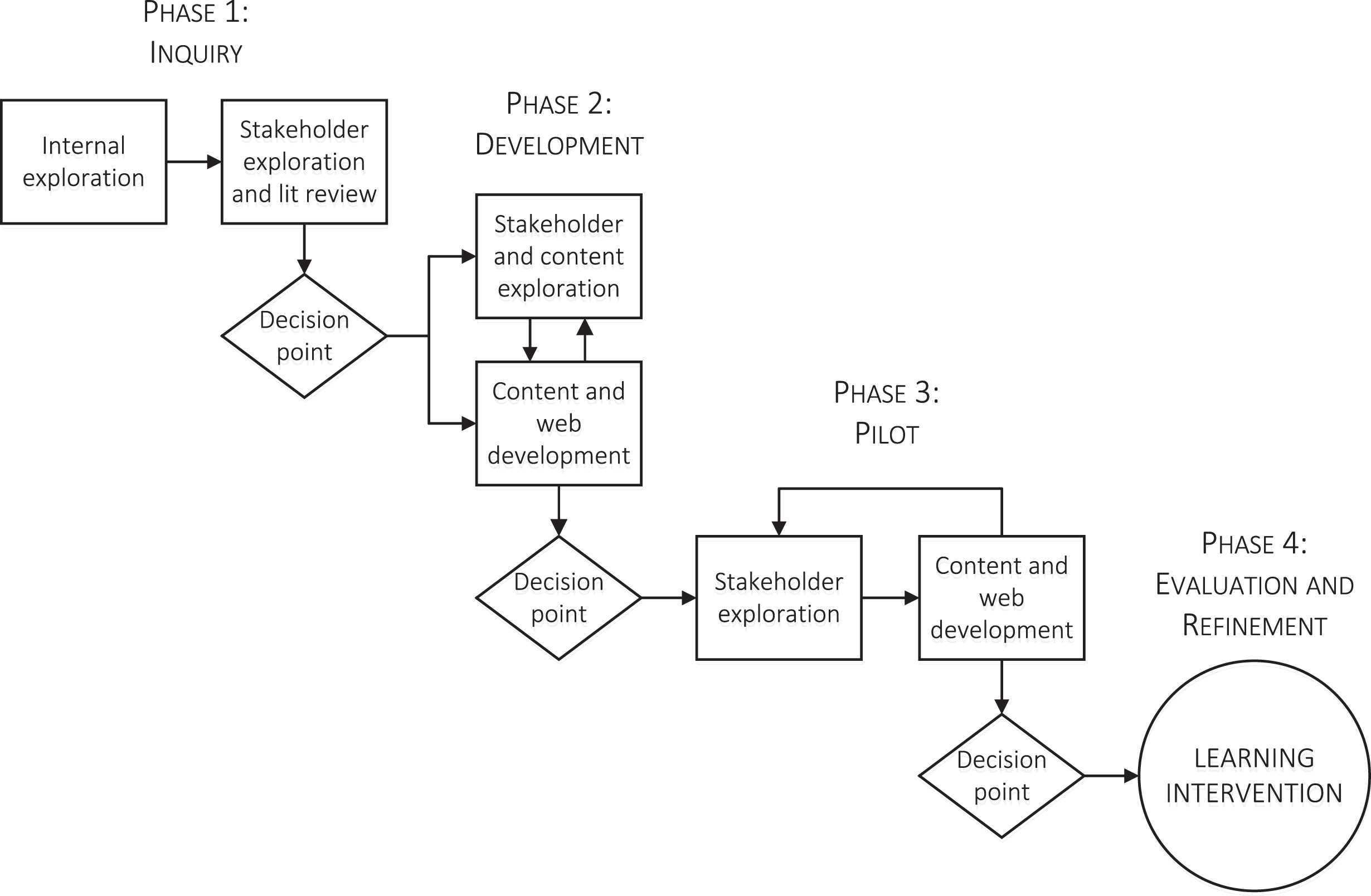 The phases, processes, and decision points of the Diversity Partners intervention development.