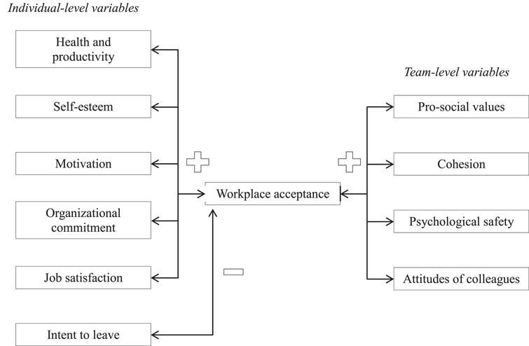 Summary of hypothesized nomological network relationships of workplace acceptance to other constructs.