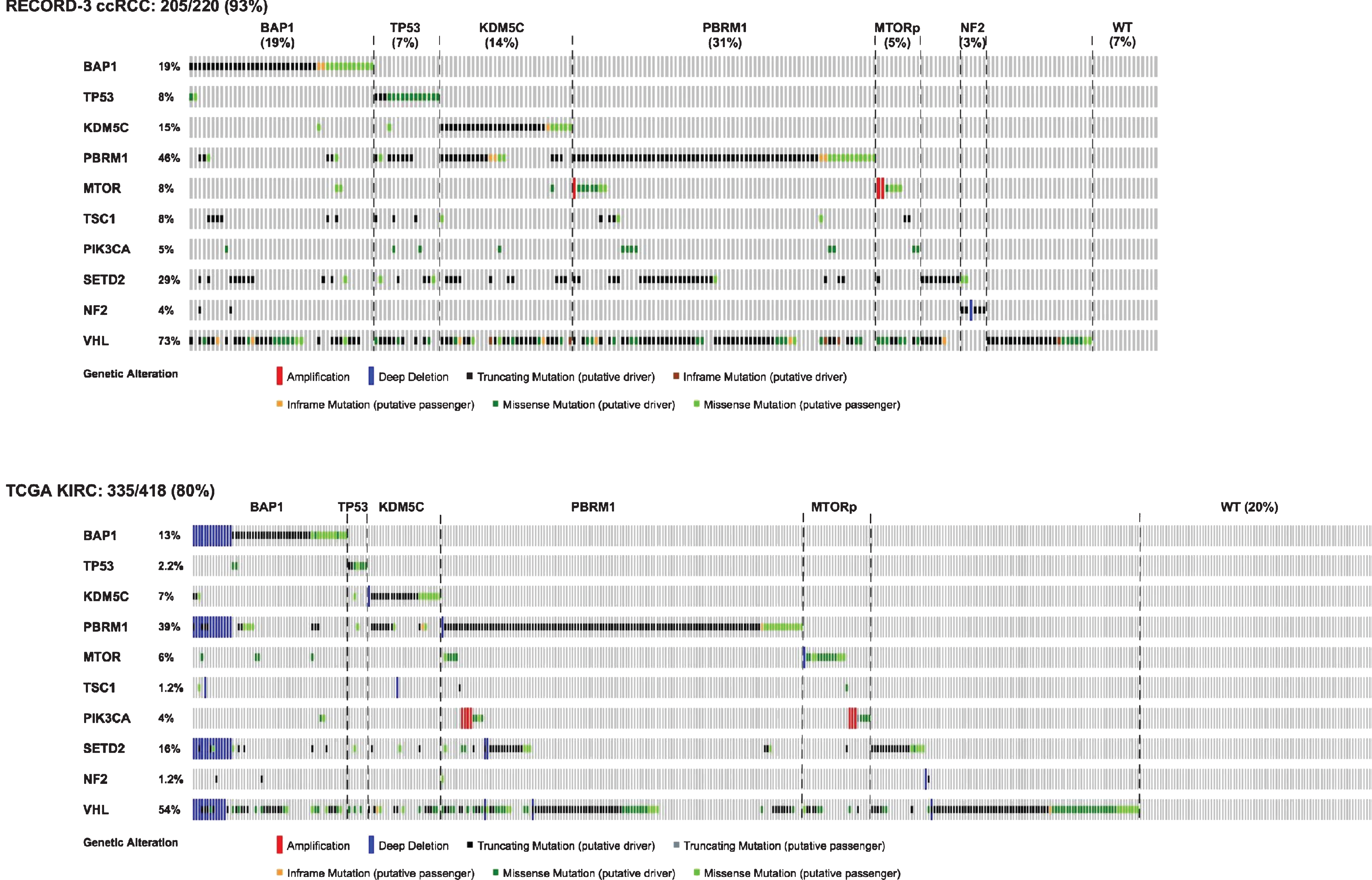 Somatic mutation landscape of ccRCC based on 10 genes that are selected for either prevalent mutations or shown prognostic/therapeutic significances. Top panel represents 220 metastatic ccRCC patients in the reported NGS cohort of RECORD3 [25], and bottom panel represents 418 ccRCC patients of all stages in the reported TCGA KIRC cohort [3]. MTORp denotes MTORC1 pathway.