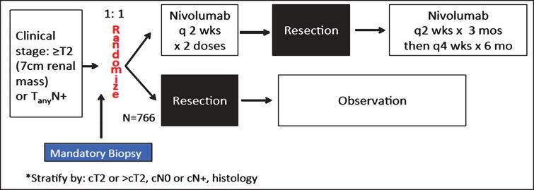 Schema of The PROSPER RCC Study. A phase III randomized study comparing perioperative nivolumab vs. observation in patients with localized renal cell carcinoma undergoing nephrectomy (PROSPER RCC) NCT 03055013.