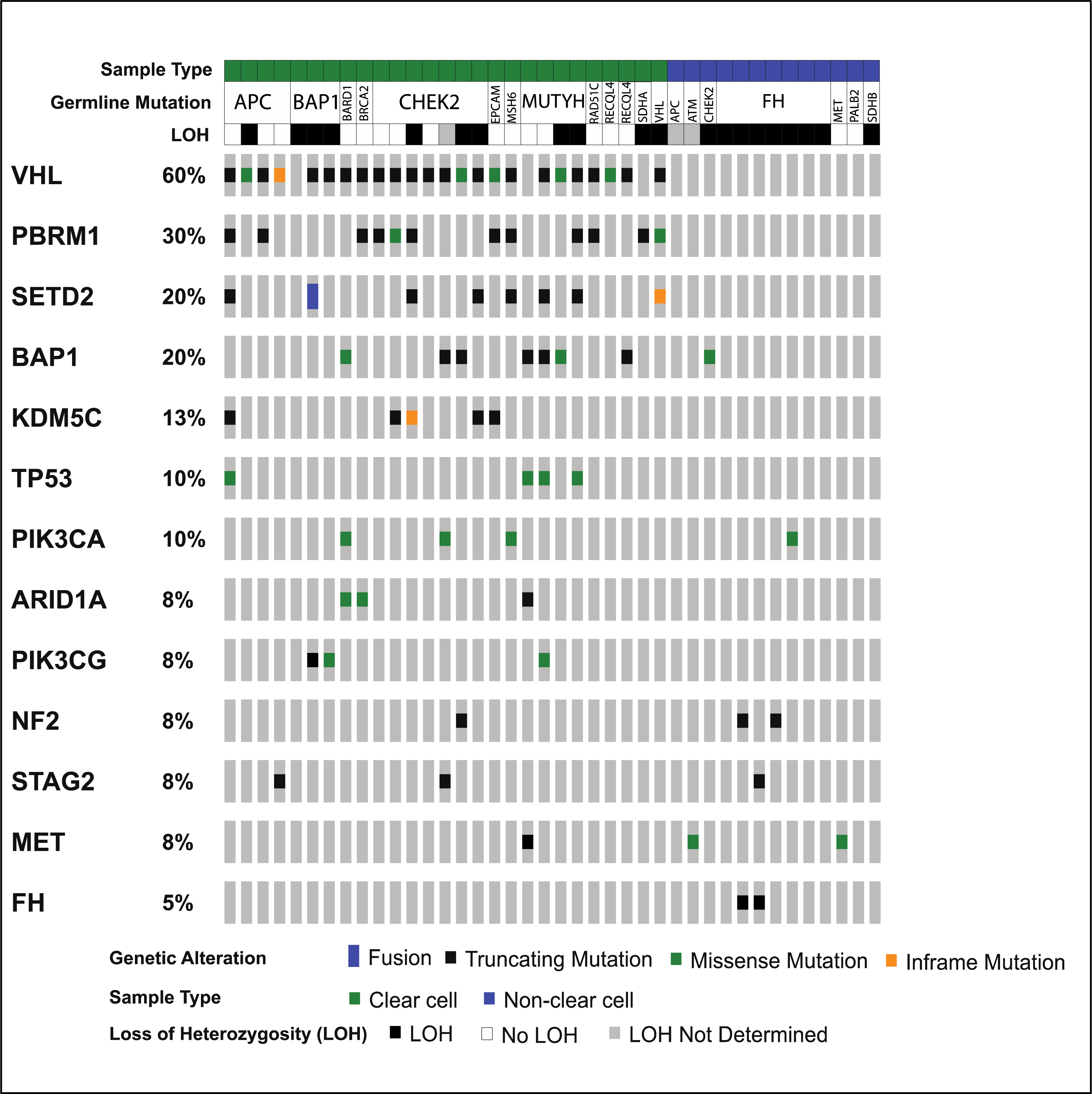 Somatic mutations and loss of heterozygosity in patients with germline mutations