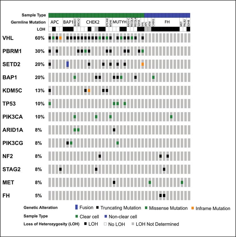 Somatic mutations and loss of heterozygosity in patients with germline mutations