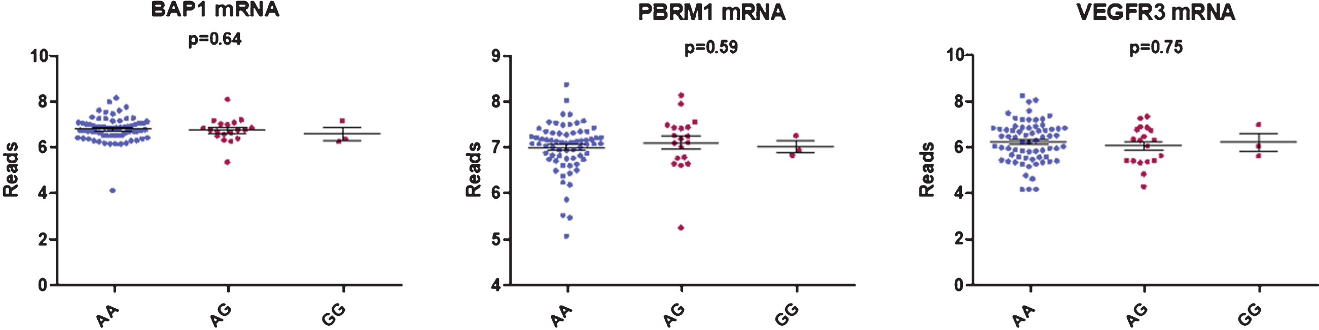 Boxplot showing the correlation between BAP1, PBRM1 and VEGFR3 mRNA expression and rs307826 genotypes (ANOVA).