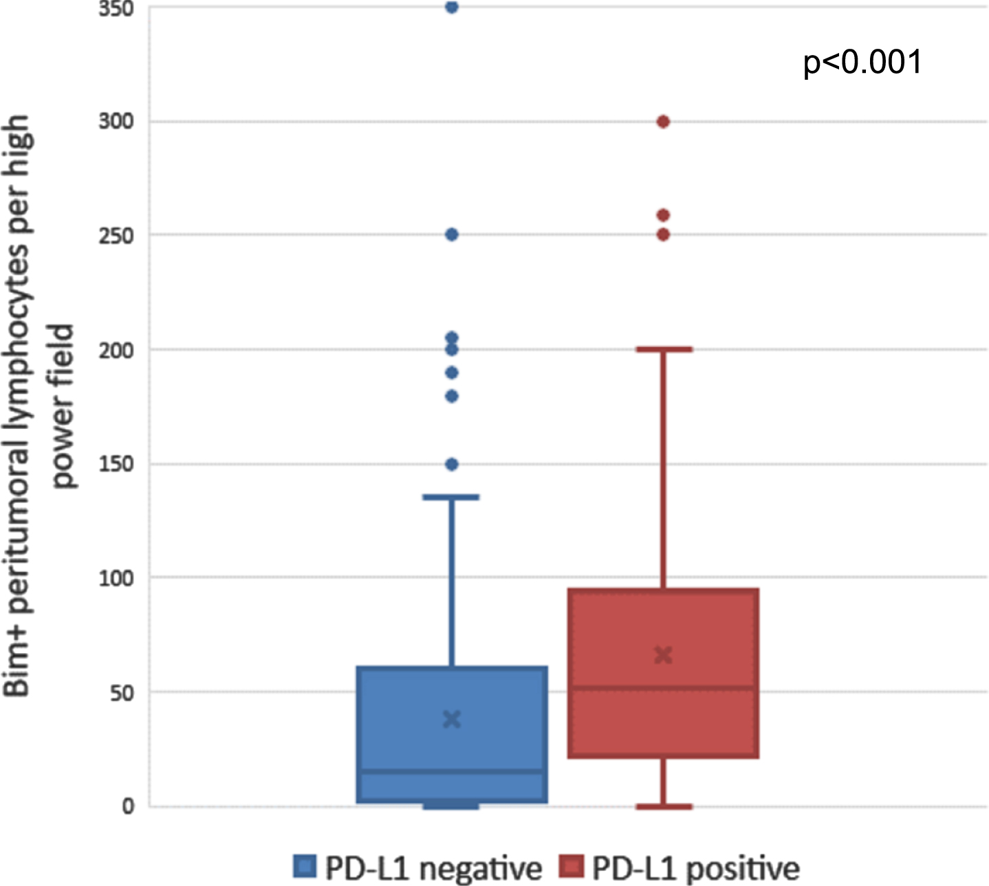 Number of Bim-positive peritumoral lymphocytes among PD-L1 positive versus PD-L1 negative tumors. Abbreviations: Bim = BCL-2-interacting mediator of cell death; PD-L1 = programmed death ligand-1.