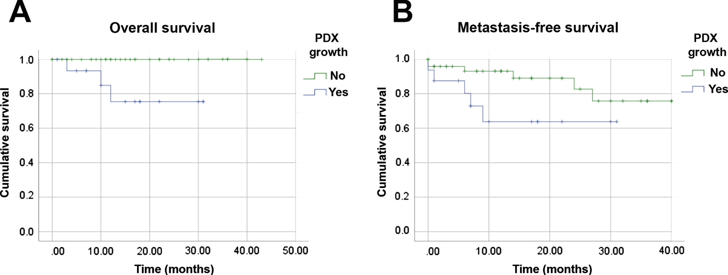 Tumor engraftment capacity is a prognostic factor in RCC. Kaplan-Meier analyses of overall (A) and metastasis-free (B) survivals of 70 RCC patients related to engraftment of orthotopic PDX. All histologic subtypes and clinical stages were included.