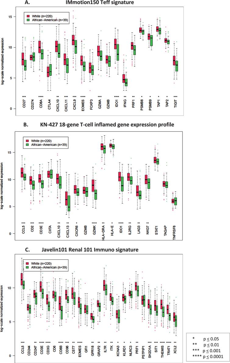 Box plots comparing log-scale normalized gene expression between African American (green) (N = 39) and Caucasian (red) (N = 220) patients in stage I tumors in the TCGA dataset. A. Genes in the T-effector signature from IMmotion150 study, B. Genes in the 18-gene T-cell inflamed gene expression profile from KN-427 study, C. Genes in the Javelin101 Renal 101 Immuno signature from Javelin101 study.