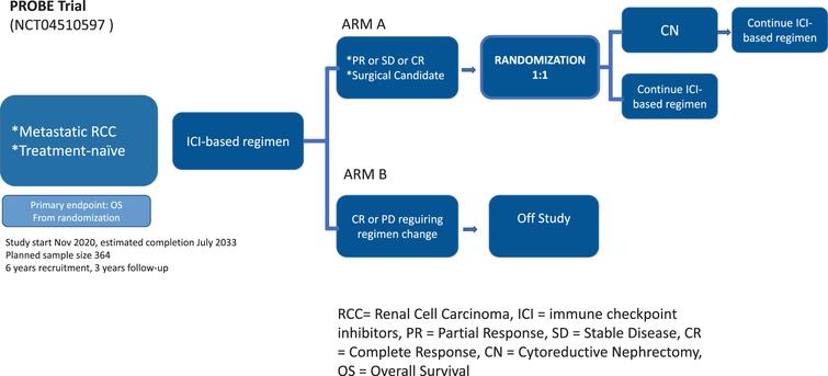 The design of the PROBE Trial. Studies any U.S. FDA-regulated ICI combination.