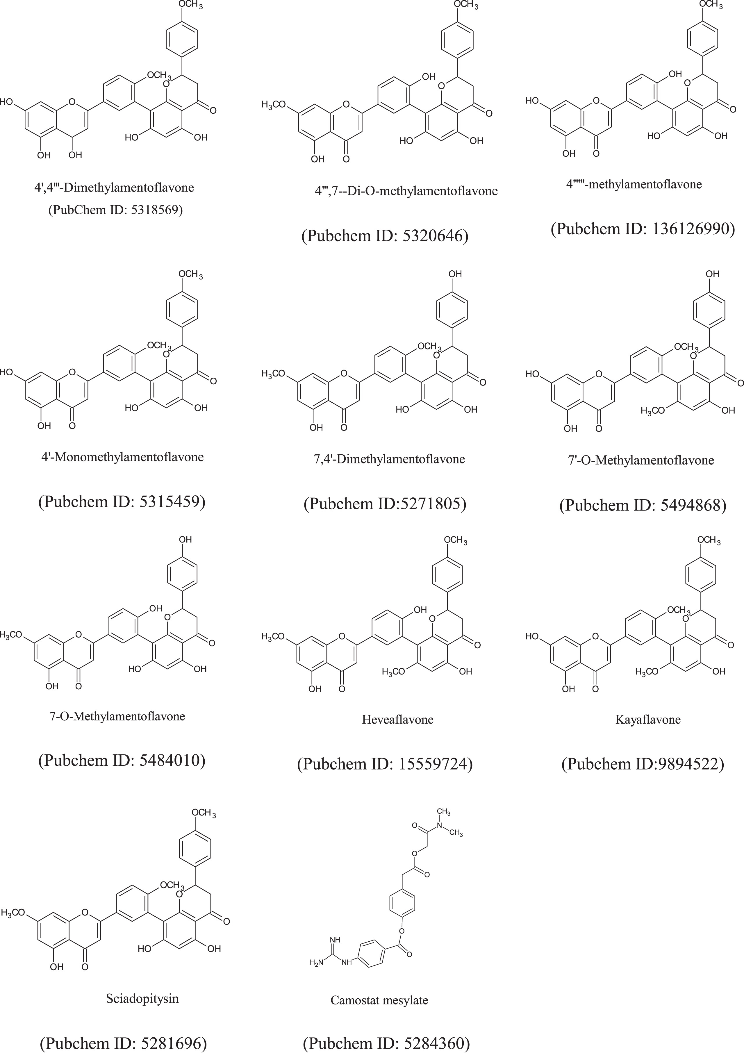 The chemical structures of amentoflavone’s derivatives and FDA-approved anti-viral drugs.