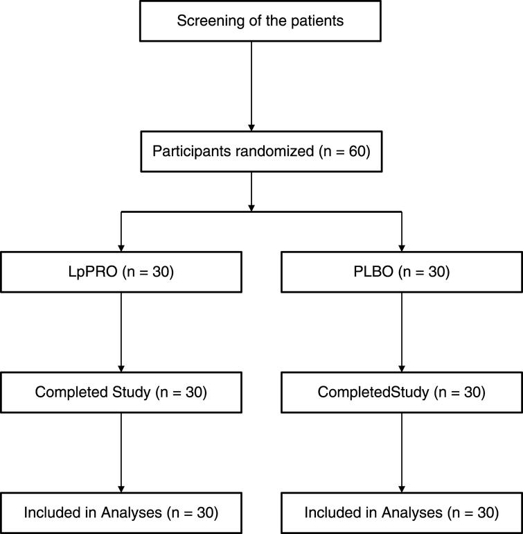 Disposition of subjects throughout the study. Abbreviations: LpPRO = Lactobacillus plantarum-containing probiotic, PLBO = placebo.