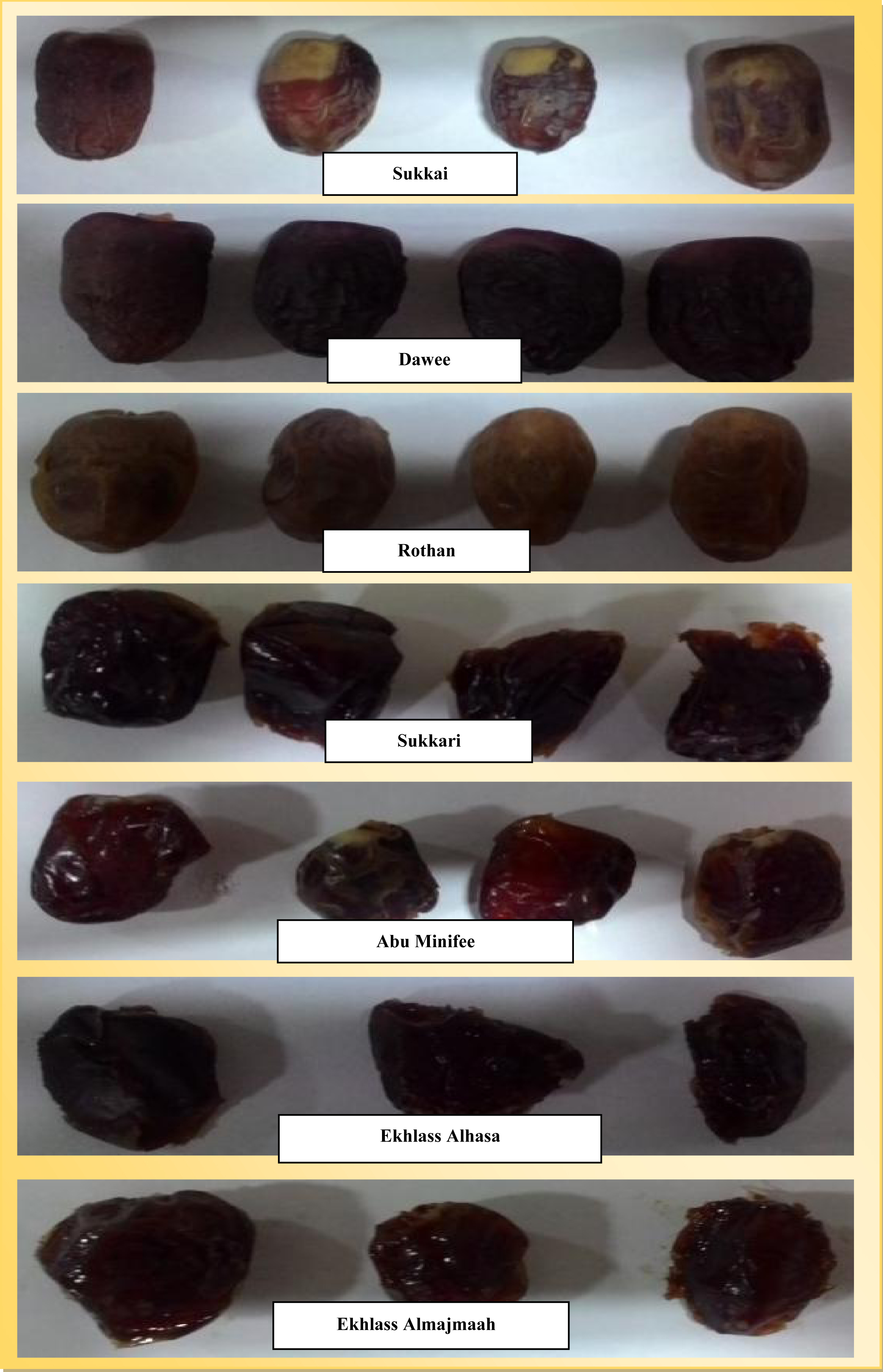 Morphological appearance of different cultivars of Saudi Arabian date fruits.