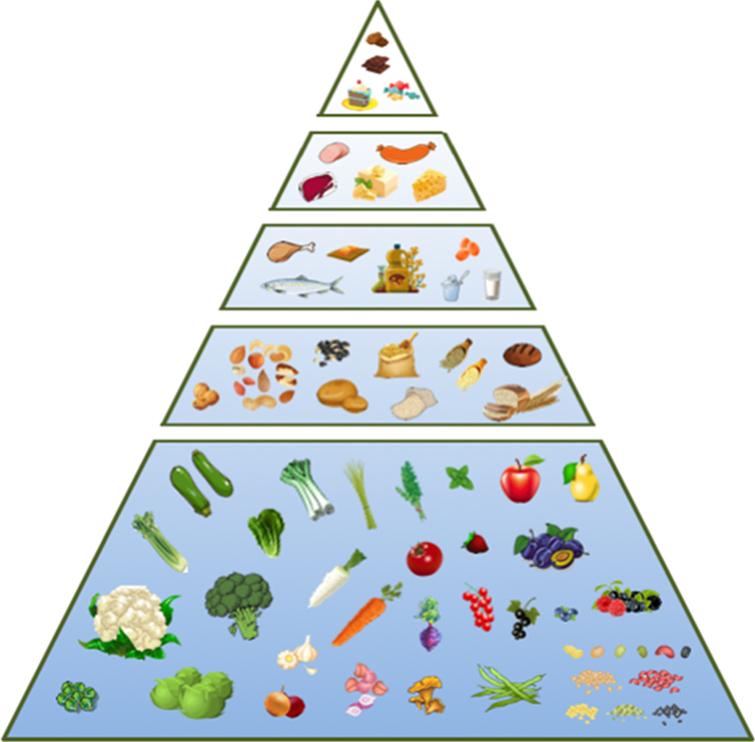 The New Nordic Diet Pyramid. Schematic representation of the nutritional characteristics established by the Baltic Sea Diet Pyramid, which adequately exemplifies the recommendations of the New Nordic Diet [190].