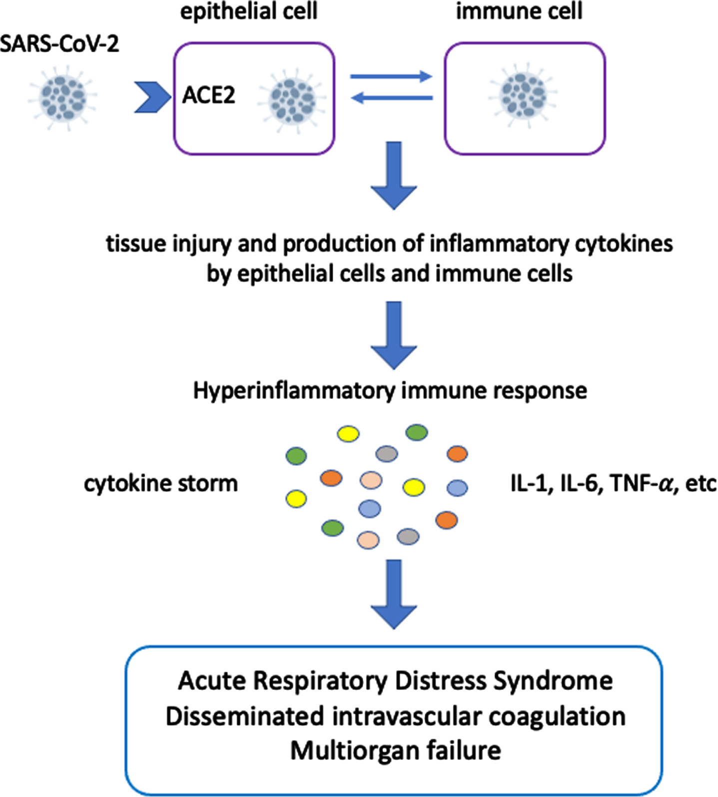 Cytokine storm and its consequences in COVID-19.