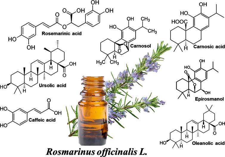 The chemical structures of the ingredients of Rosemary extract.