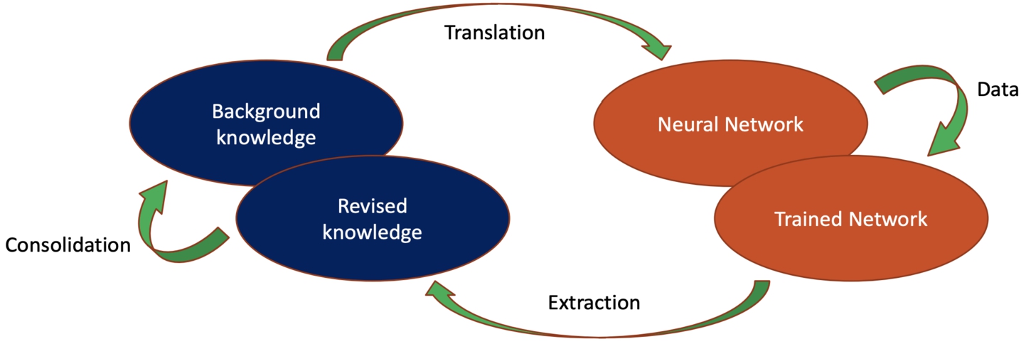 Illustration of the neurosymbolic cycle [10]: knowledge extraction will be carried out by querying a deep network interactively and aligning continually, thereby repeatedly applying the neurosymbolic cycle until values are deemed to have been aligned. The neurosymbolic cycle enables a human-in-the-loop approach by offering a common ground for communication and system interaction. Symbolic knowledge representation extracted from the learning system at an adequate level of abstraction allow for knowledge consolidation, comparative evaluations and targeted revision of the neural network model.