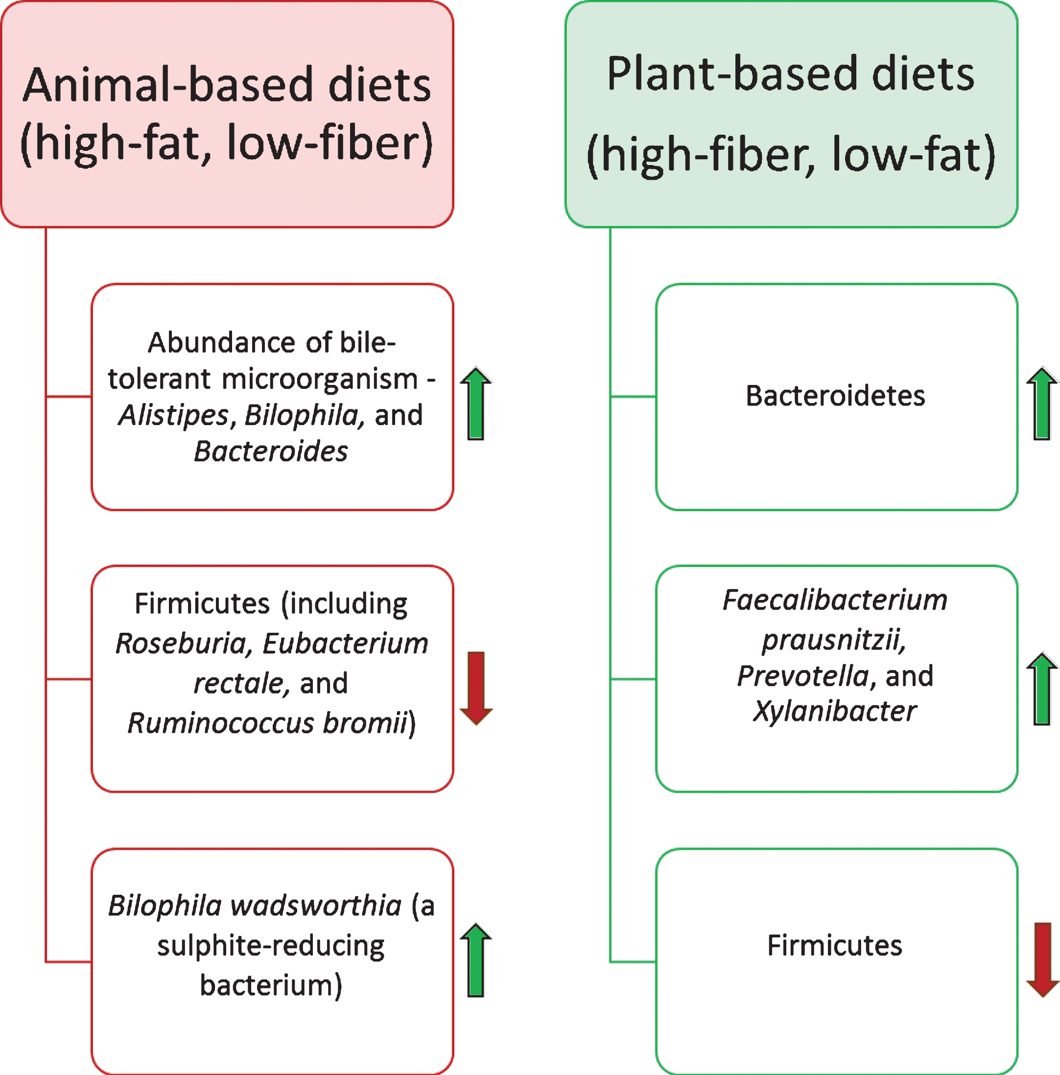 Impact of the diet on the human gut microbiota composition. Diet is one of the most influential factors for altering the composition of the gut microbiota. Animal-based diets promote the growth of bile-tolerate microorganisms. In contrast, plant-based diets elevate the abundance of polysaccharides-digesting bacterial species.