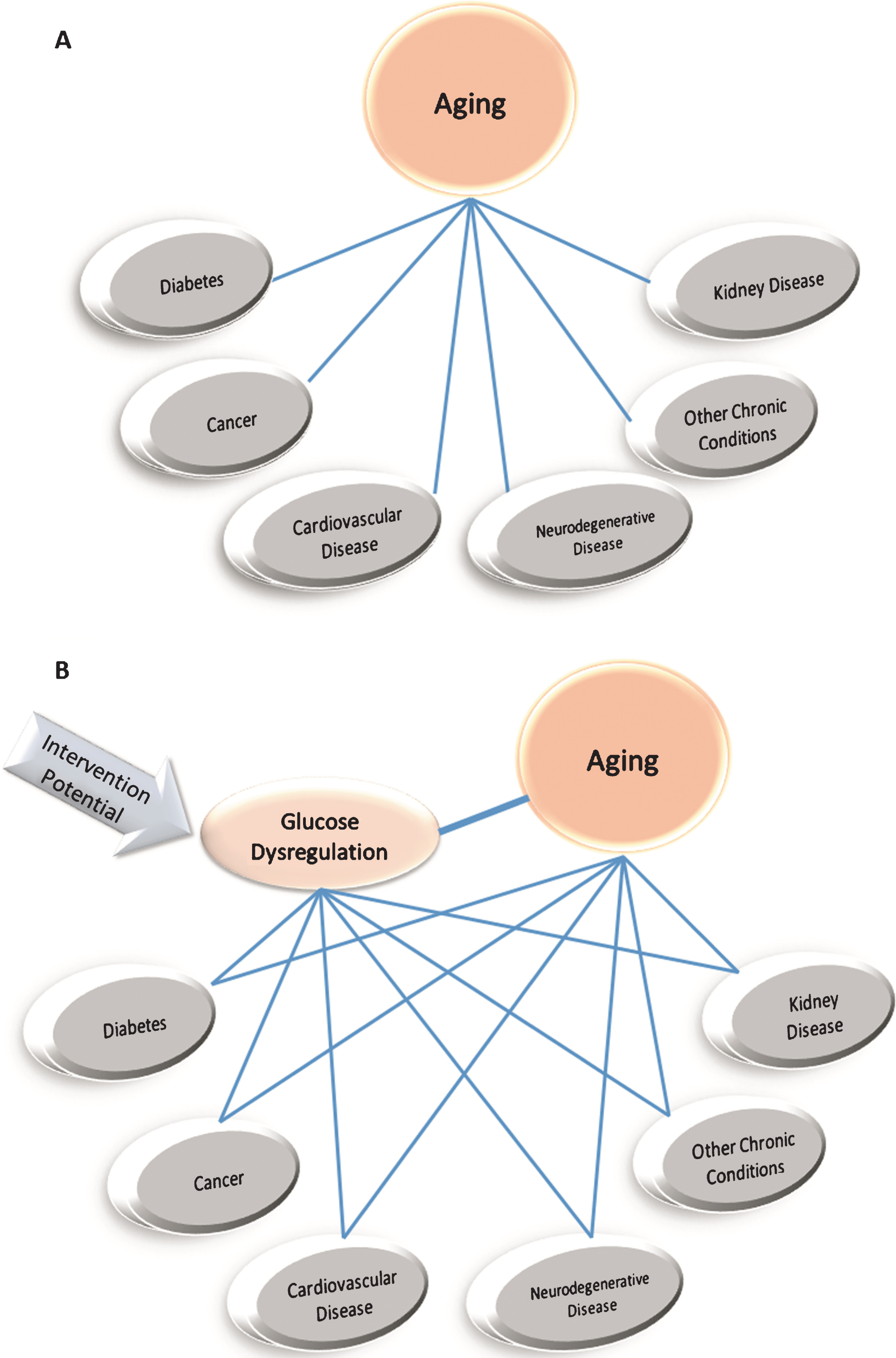 Aging as a risk factor for chronic disease. A. Aging is the number one risk factor for the most prevalent metabolic and chronic diseases in developed countries. B. Glucose dysregulation, however, is also a major risk factor for many of these same “age”-related diseases, suggesting interventions that maintain or improve glucoregulatory control to prevent, delay or treat T2D (e.g., acarbose, metformin) may have manifold benefits related to other chronic diseases associated with aging.