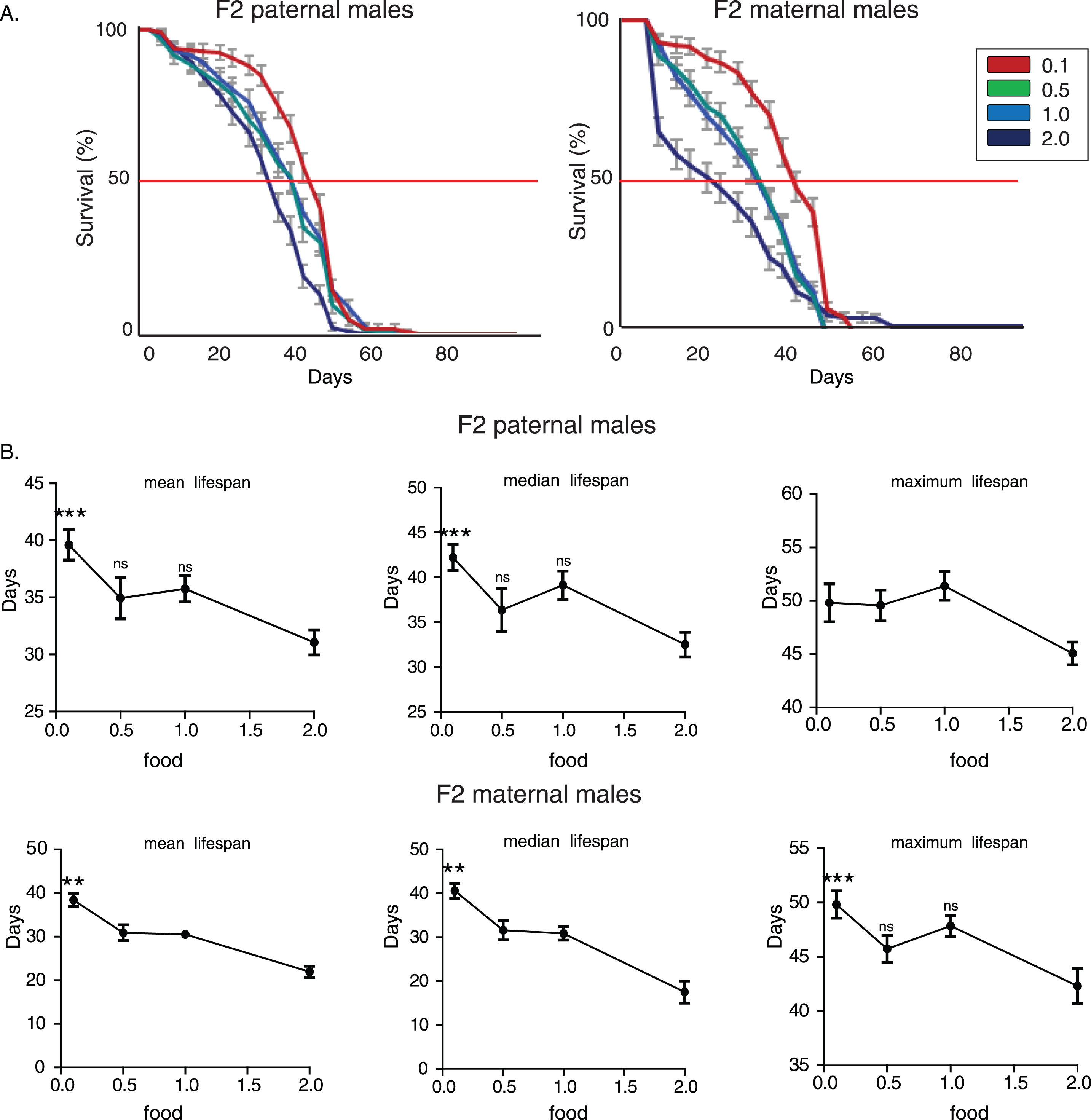 Starvation-induced transgenerational effect on longevity is evolutionarily conserved in Drosophila melanogaster. A) Lifespan curves of F2 males (CS strain) from paternal and maternal grandfathers exposed to different dietary conditions. F2 virgin males whose paternal grandfathers had experienced starvation through larval stages (F2 paternal 0.1 males) were long-lived compared to the other groups. F2 (paternal) 0.1 vs. 0.5: p < 1.2×10–4, F2 (paternal) 0.1 vs. 1.0: p < 0.014 and F2 (paternal) 0.1 vs. 2.0: p < 1.7×10–21, log rank test. Also, F2 virgin males whose paternal grandfathers were fed under the richest conditions through larval stages (F2 paternal 2.0 males) were the shortest lived compared to the other groups. F2 (paternal) 2.0 vs. 1.0: p < 1.7×10–9, F2 (paternal) 2.0 vs. 0.5: p < 5.7×10–7, log rank test. F2 virgin males whose maternal grandfathers had experienced starvation through larval stages (F2 maternal 0.1 males) were also long-lived compared to the other groups. F2 (maternal) 0.1 vs. 0.5: p < 7×10–14, F2 (maternal) 0.1 vs. 1.0: p < 1.6×10–14 and F2 (paternal) 0.1 vs. 2.0: p < 1×10–40, log rank test. On the contrary, the richest conditions of larval feeding (F2 maternal 2.0 males) led to significant lifespan reduction. F2 (paternal) 2.0 vs. 1.0: p < 1.3×10–11, F2 (paternal) 2.0 vs. 0.5: p < 7×10–12, log rank test. Lifespan data shown are from a single trial. For each lifespan experiment n > 260. Error bars indicate SEM. B) Mean, median and maximum lifespan of F2 males from paternal and maternal grandfathers exposed to different dietary conditions. Grandparents’ feeding affected mean, median but not maximum lifespan in F2 paternal flies (the mean lifespan of the longest-lived 10% of flies); F2 (paternal) 0.1 vs. 2.0: p < 0.001, q = 4,404 and p < 0.001, q = 3.912, for mean and median lifespan respectively. Ancestor’s feeding affected more pronouncedly lifespan values in maternal grandsons (F2 maternal 0.1 vs. 0.5: p < 0.01, q = 3,739 and p < 0.01, q = 3,204 for mean and median lifespan respectively, F2 maternal 0.1 vs. 1.0: p < 0.001, q = 3,929 and p < 0.01, q = 3,465 for mean and median lifespan respectively, F2 maternal 0.1 vs. 2.0: p < 0.001, q = 8,067, p < 0.001, q = 8.081 and p < 0.001, q = 4.100 for mean, median and maximum lifespan. One-way ANOVA with Dunnett’s multiple comparison against F2 0.1 flies. For each lifespan experiment n > 13, **p < 0.01, ***p < 0.001. Error bars indicate SEM.