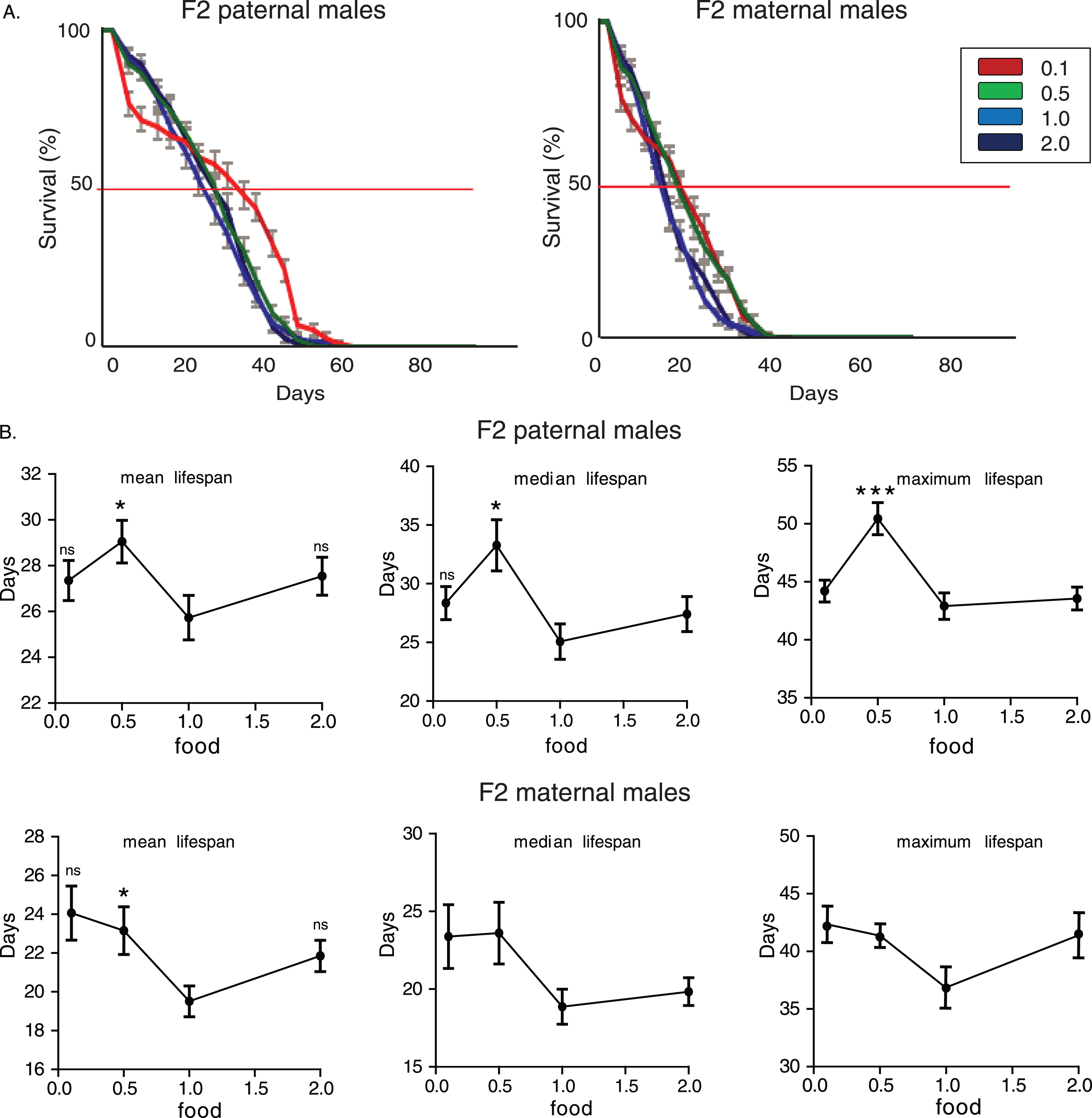 Dietary restriction during adulthood induces transgenerational effects on longevity. A) Lifespan curves of F2 males from paternal and maternal grandfathers subjected to different dietary regimes through adult stages. F2 virgin males whose paternal grandfathers had experienced starvation through adult stages lived longer; F2 (paternal) 0.1 vs.. 0.5: p < 1.47×10–9, F2 (paternal) 0.1 vs.. 1.0: p < 3.6×10–10 and F2 (paternal) 0.1 vs.. 2.0: p < 3×10–12, log rank test. In F2 maternal males, dietary restriction and starvation of F0 males induced similar effects; F2 (maternal) 0.5 vs. 0.1: p > 0.9, F2 (maternal) 0.5 vs. 1.0: p < 8×10–7, F2 (maternal) 0.5 vs. 2.0: p < 0.0049, F2 (maternal) 0.1 vs. 1.0: p < 1×10–6, F2 (maternal) 0.1 vs. 2.0: p < 0.0049, log rank test. Lifespan data shown are from a single trial. For each lifespan experiment n > 260. Error bars indicate SEM. B) Mean, median and maximum lifespan of F2 males from paternal and maternal grandfathers exposed to different dietary conditions during adulthood. F2 (paternal) 0.5 vs. 0.1: p < 0.001, q = 4.097, for maximum lifespan, F2 (paternal) 0.5 vs. 1.0: p < 0.05, q = 2.512, p < 0.01, q = 3.326, p < 0.001, q = 4.6 for mean, median and maximum lifespan, F2 (paternal) 0.5 vs. 2.0: p < 0.05, q = 2.456 and p < 0.001, q = 4.34, for median and maximum lifespan. F2 (maternal) 0.5 vs. 1.0: p < 0.05, q = 2.457 for mean lifespan, F2 (maternal) 0.1 vs. 1.0: p < 0.05, q = 2.95, for mean lifespan, one-way ANOVA with Dunnett’s multiple comparison against F2 0.5 flies. For each lifespan experiment n > 13, *p < 0.05, ***p < 0.001. Error bars indicate SEM.