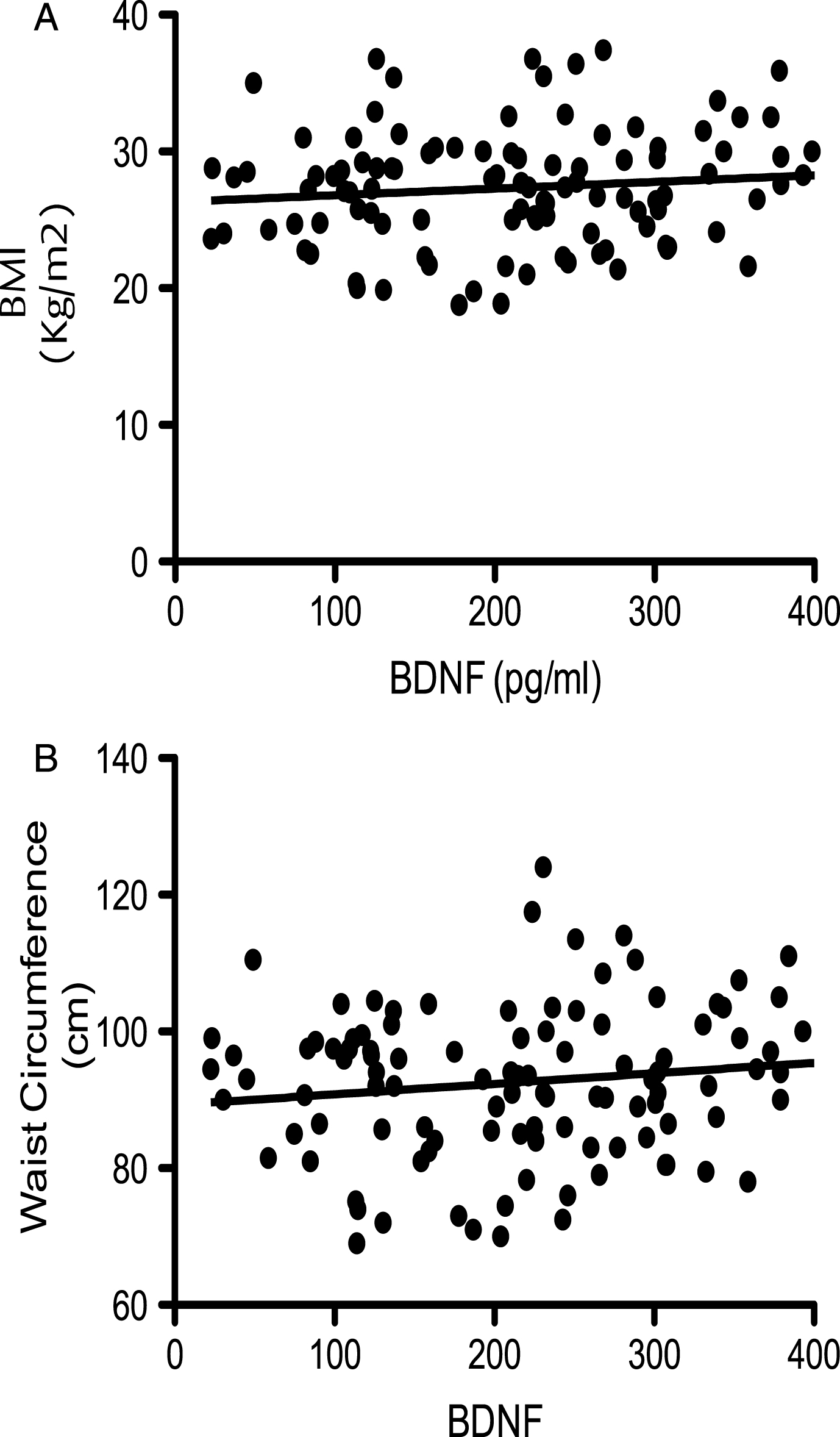 Corellation of BDNF with bidy mass index (BMI; panel A) and waist circumferance (WC; panel B). No signitivent correlations were observed (p > 0.05; n = 112)