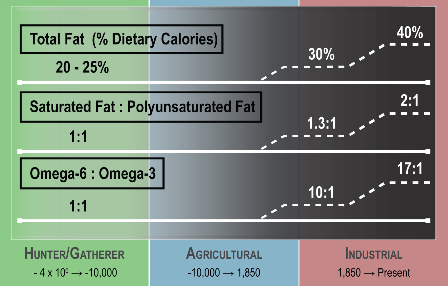 Dietary fat composition changes over human existence. Human food composition has changed considerably over the course of time. Dietary fat accounted for at most 25% of total calories in the early Hunter/Gatherer time period but has increased to as much as 40% in the present day. The fat composition in the diet has also changed over time, with a higher ratio of saturated fat to polyunsaturated fat and a greater omega-6 to omega-3 ratio in the modern era when compared to earlier time periods. (Figure adapted from [4]).