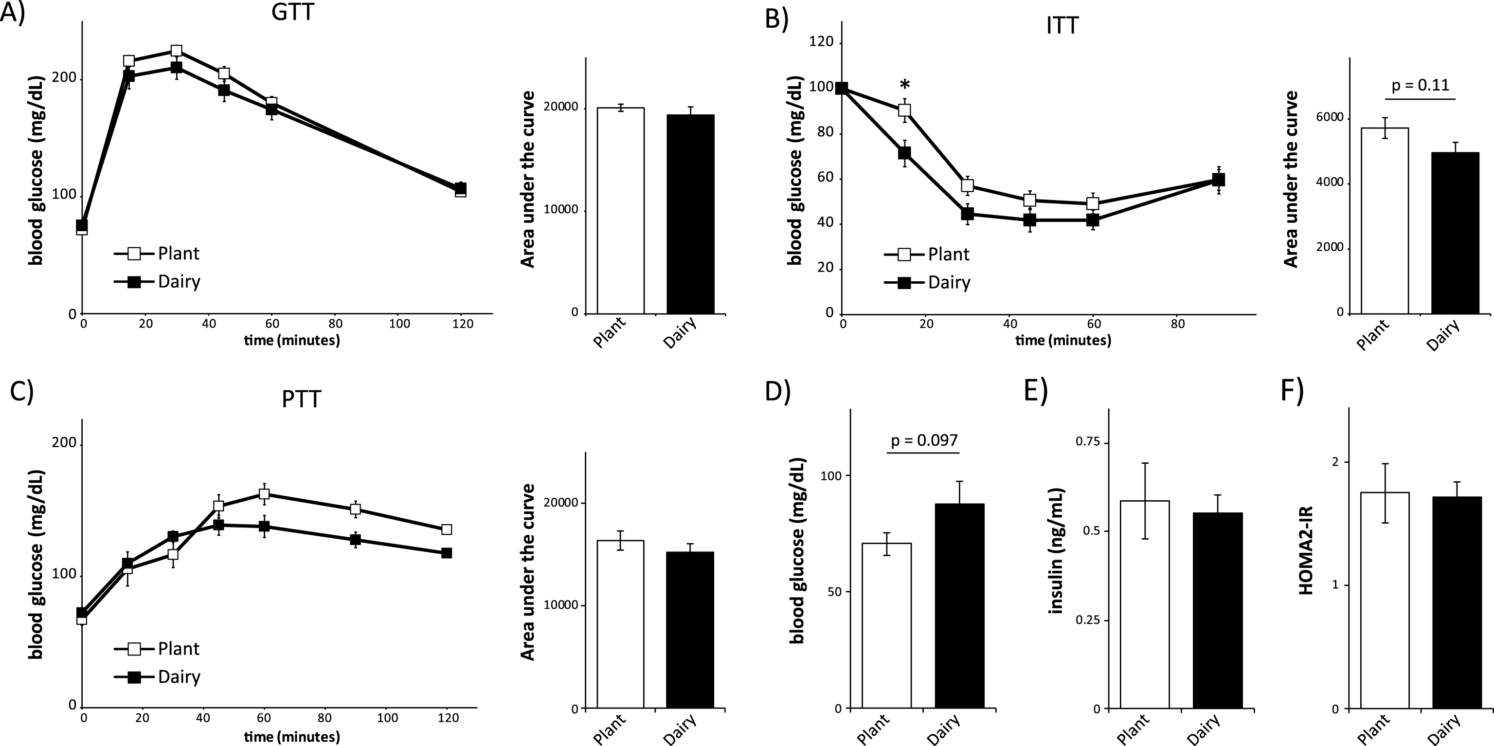 Mice consuming plant or dairy protein diets have similar control of blood glucose. (A-C) Glucose (A), insulin (B) and pyruvate (C) tolerance tests on male C57BL/6J mice fed a diet based on 20% Plant protein or 20% Dairy protein for 3, 4 or 5 weeks, respectively (n = 9/group; Sidak test following repeated-measures ANOVA, * = p < 0.05). Error bars represent SE. (D-F) Mice were fasted overnight and (D) blood glucose and (E) insulin were measured, and (F) the HOMA2-IR was calculated after 6 weeks on the specified diets (n = 9/group; two-tailed t-test, * = p < 0.05). Error bars represent SE.