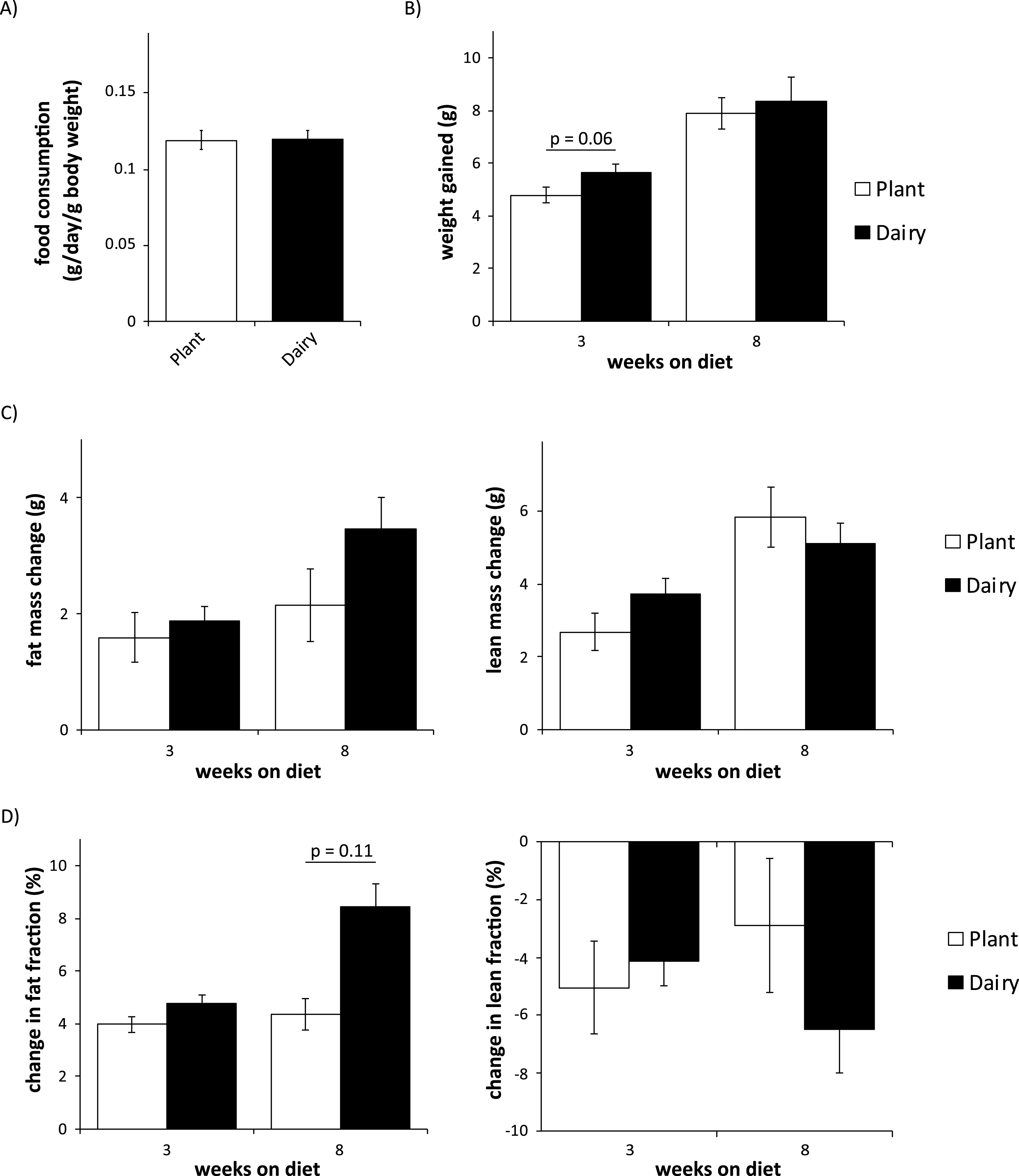 Mice consuming plant or dairy protein diets have similar food consumption, weight gain, and body composition. (A) Food consumption was measured after 2 weeks on either diet. (B) Weight was determined immediately prior to diet start and after 3 and 8 weeks. (C-D) Fat and lean mass (C) and fat and lean fraction (D) were determined immediately prior to diet start and after 3 and 8 weeks. (n = 9/group; two-tailed t-test, * = p < 0.05). Error bars represent SE.
