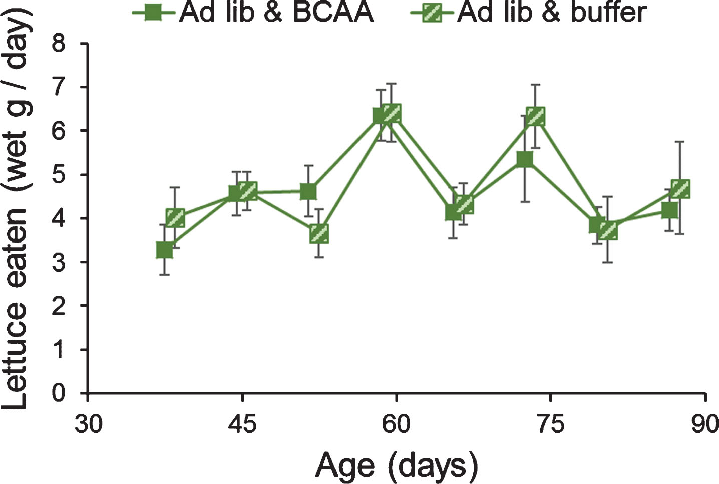 Dietary supplementation of BCAAs did not alter lettuce feeding in grasshoppers. Adult female grasshoppers were reared on ad libitum lettuce & BCAA or on ad libitum lettuce & buffer. Age refers to days after adult molt. Feeding rates varied week to week, but not due to supplementation of BCAAs. Data were tested via one-way repeated-measures ANOVA. Data are offset to show±1 Standard Error bars.