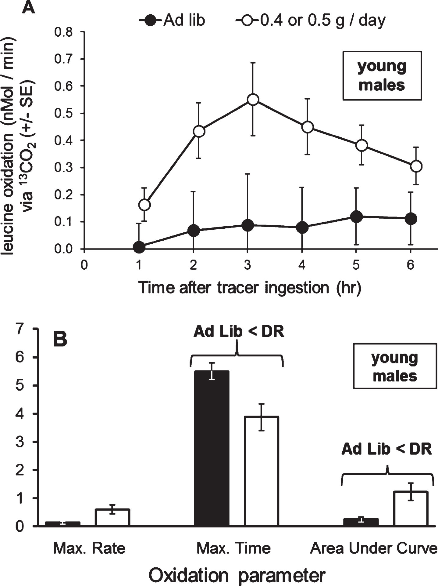 In young adult male grasshoppers, organismal oxidation of leucine was increased upon a 30% diet. A) The 30% diet marginally increased oxidation of leucine from 2 to 5 hours after tracer ingestion. B) The 30% diet significantly decreased the time of occurrence of the maximum rate of oxidation (hours after tracer ingestion) and significantly increased the Area Under the Curve (nMol/min * 100), but did not change the maximum rate of oxidation (nMol/min). Oxidation curve data were tested with one-way MANOVA with time as a dependent variable, and oxidation parameters were tested with Student t-tests. Error bars show one Standard Error.