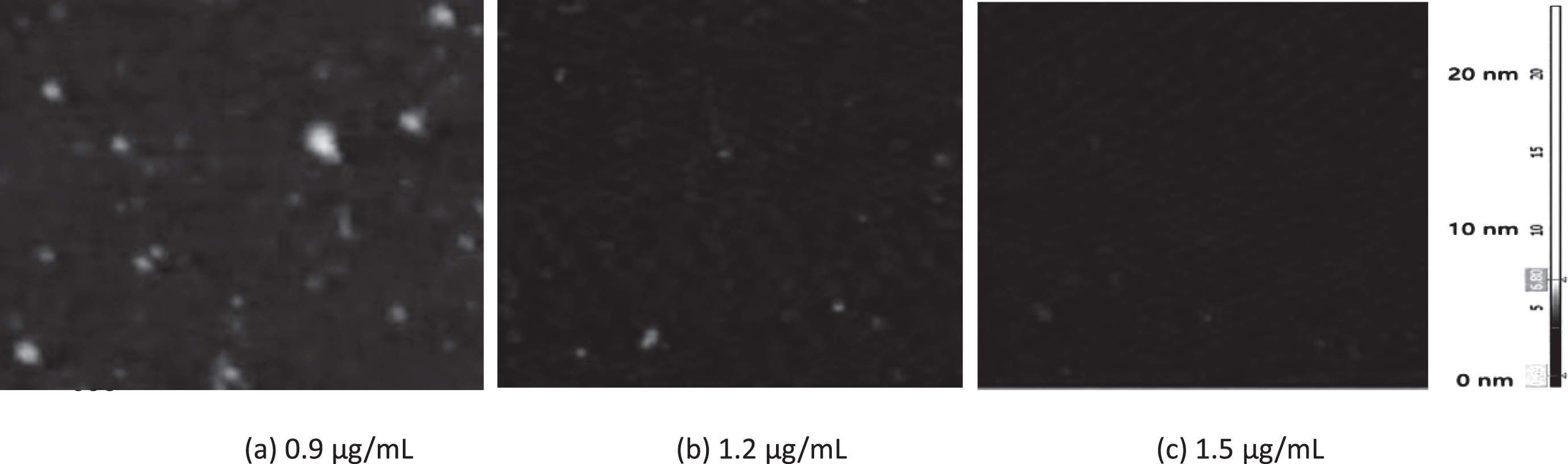 Effect of GBP at different concentrations on amyloid beta. Representative AFM images of adsorbed 20 μM amyloid beta (1– 42) oligomers prepared by HFIP protocol (Mica surfaces (3×3 μm) were visualized after 24 h incubation with preparations (images in 3×3 μm, 24 h incubation).
