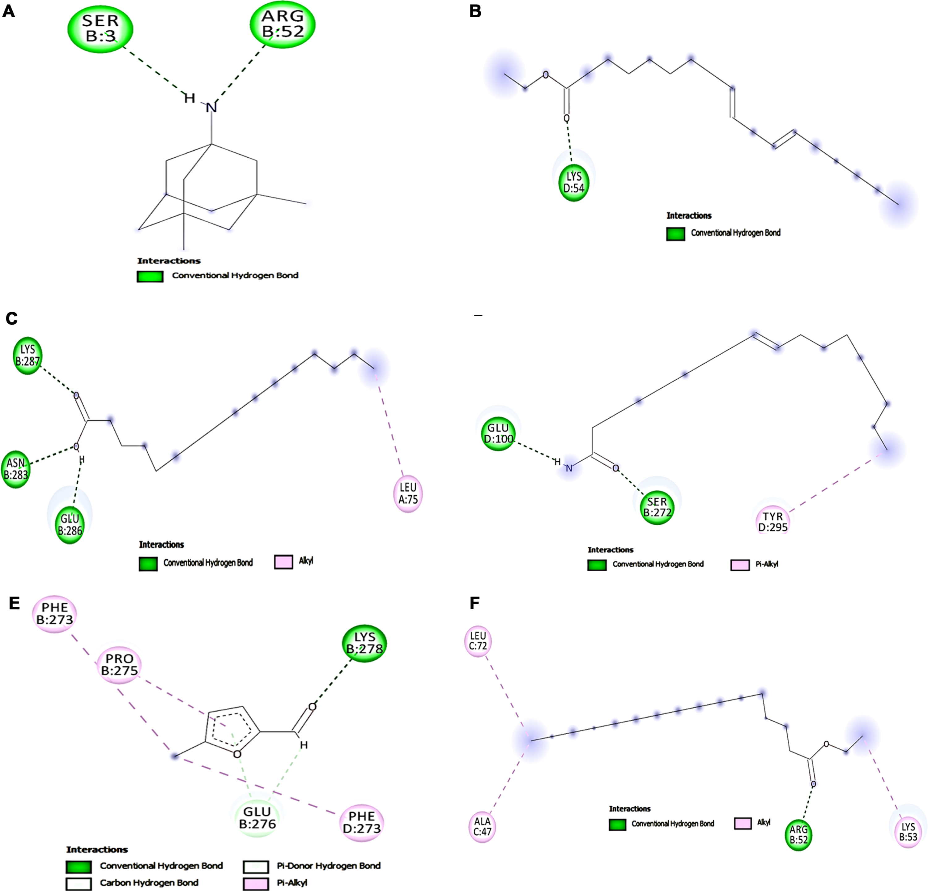 Molecular docking analysis of top 5 compounds in HS against NMDAR (A) Memantine (B) Ethyl linoleate (C) Palmitic acid (D) Oleamide (E) 5-methylfurfural (F) Ethyl palmitate.